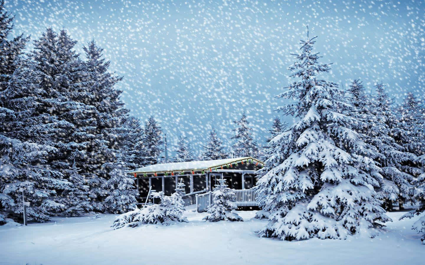 Snowstorm, 1440 x 900, cabin, HD Desktop Wallpaper
