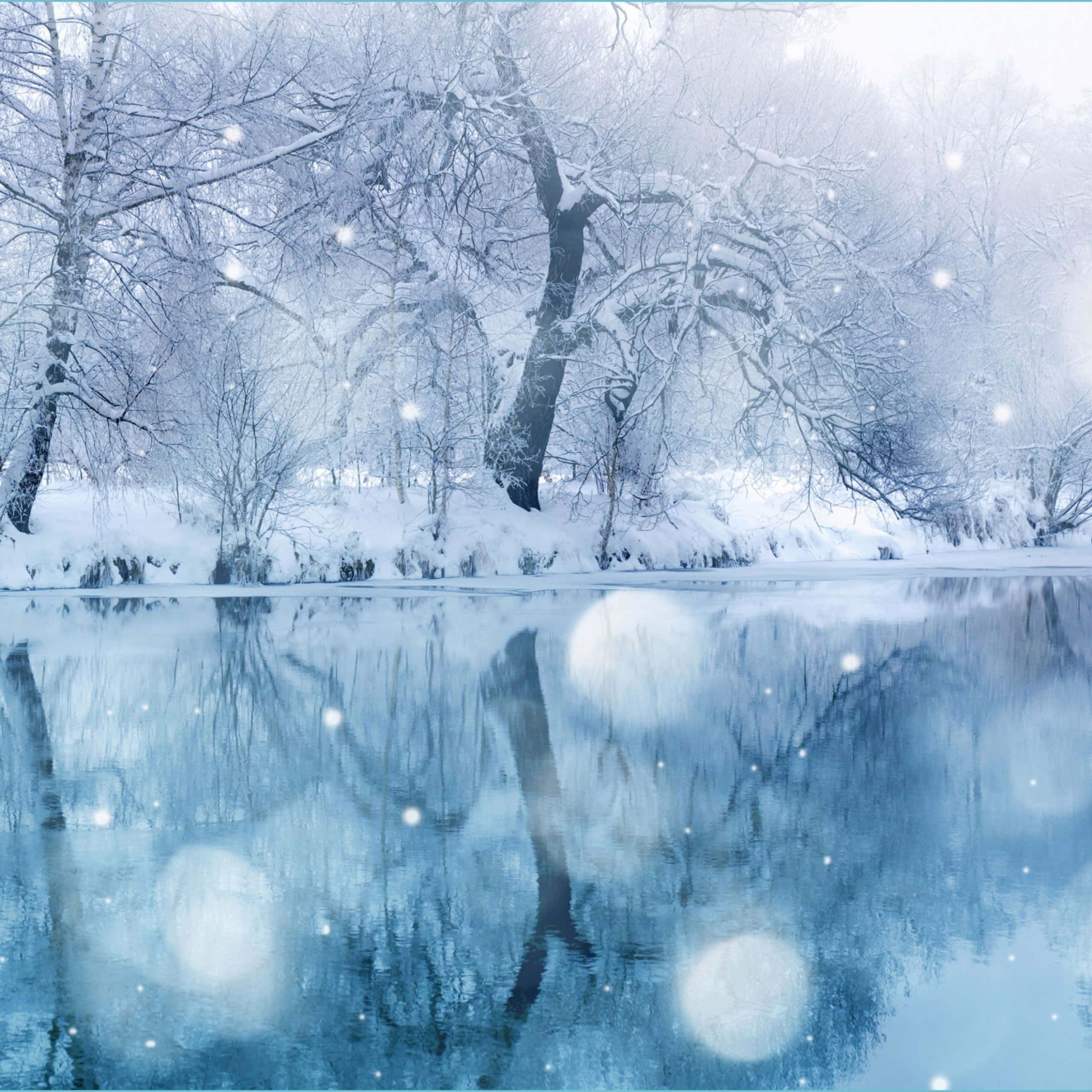 snowy winter wonderland, bare trees, calm frozen lake, 2K Desktop Wallpaper