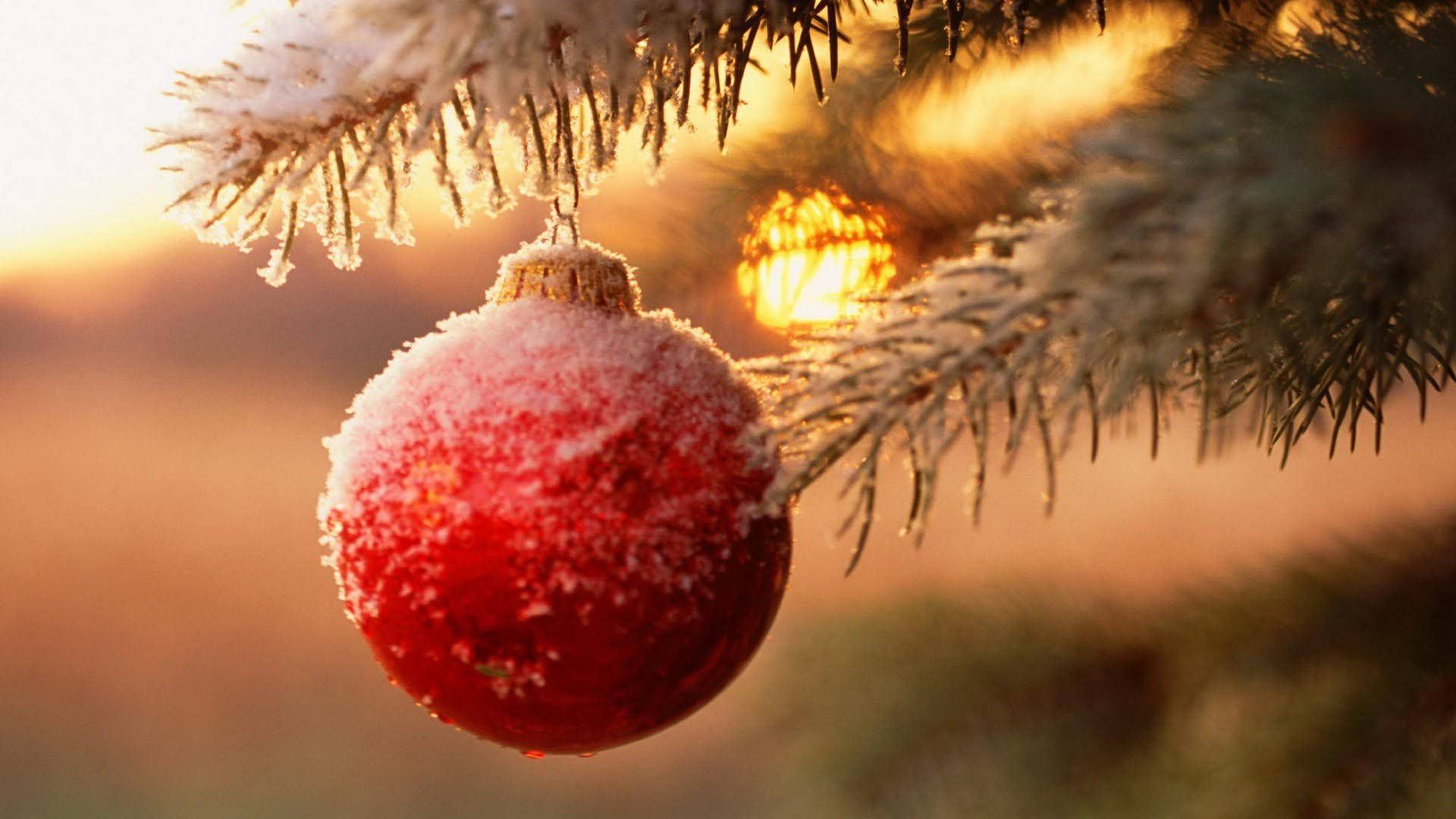 snowy Christmas, frost-dusted red Christmas ornament, snowy pine branch, Full HD Desktop Wallpaper