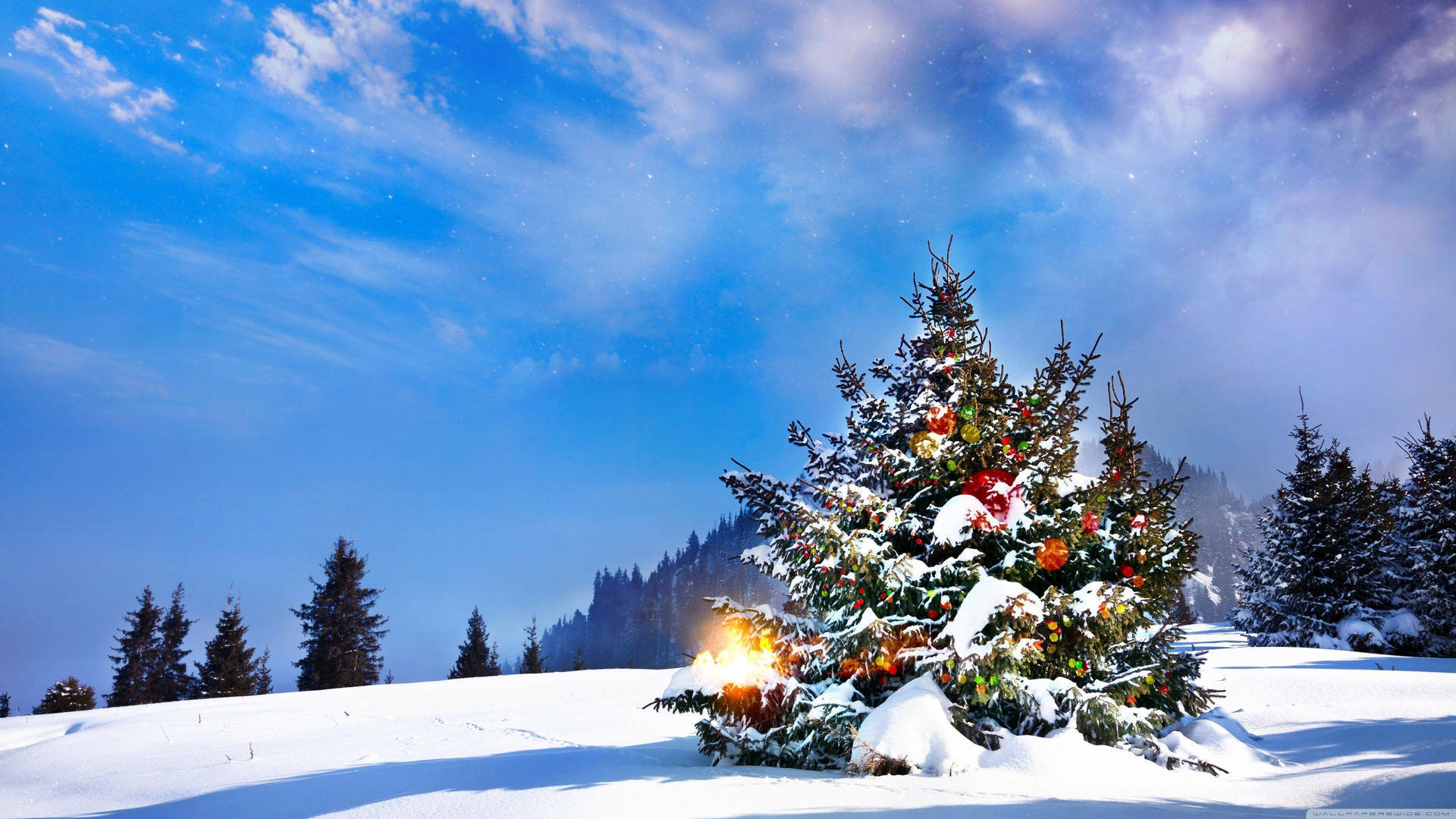 snow-covered Christmas tree, colorful lights, ornaments, Full HD Desktop Wallpaper