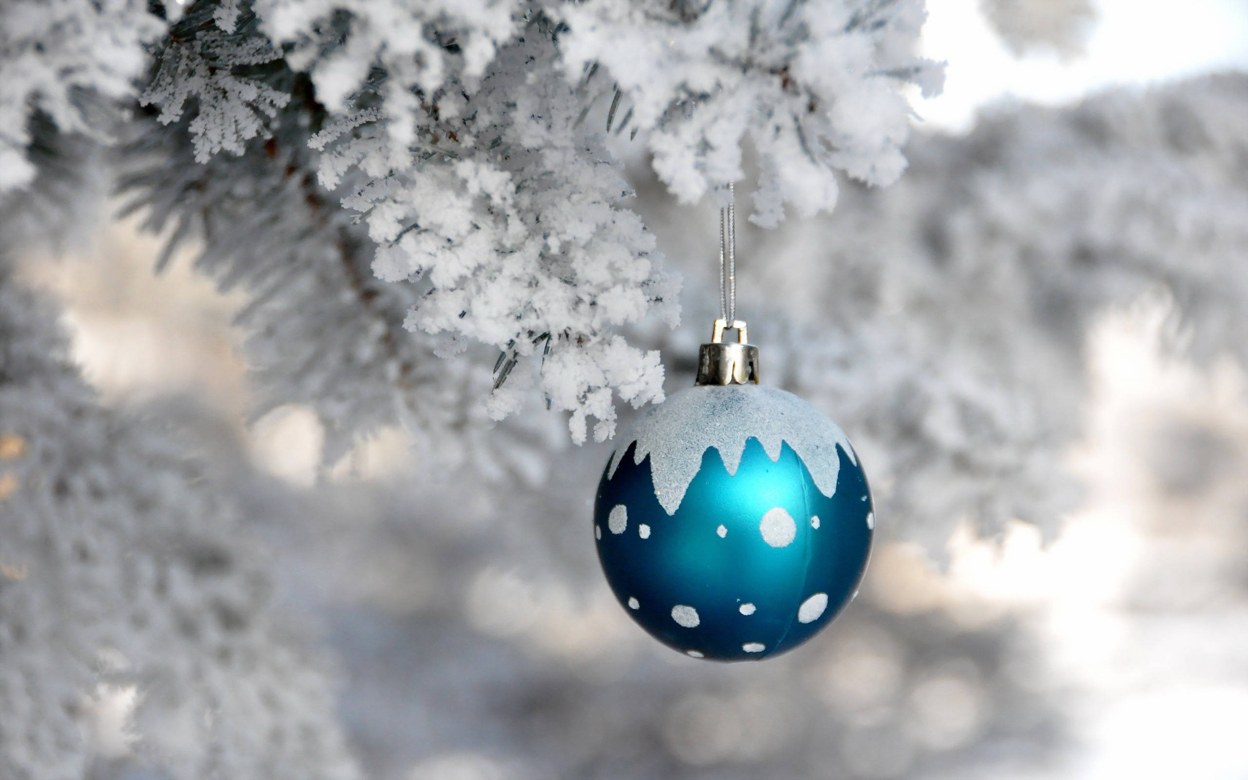 Snowy Christmas, blue snow-dusted Christmas ornament, frost-covered pine branch, 2K Desktop Wallpaper
