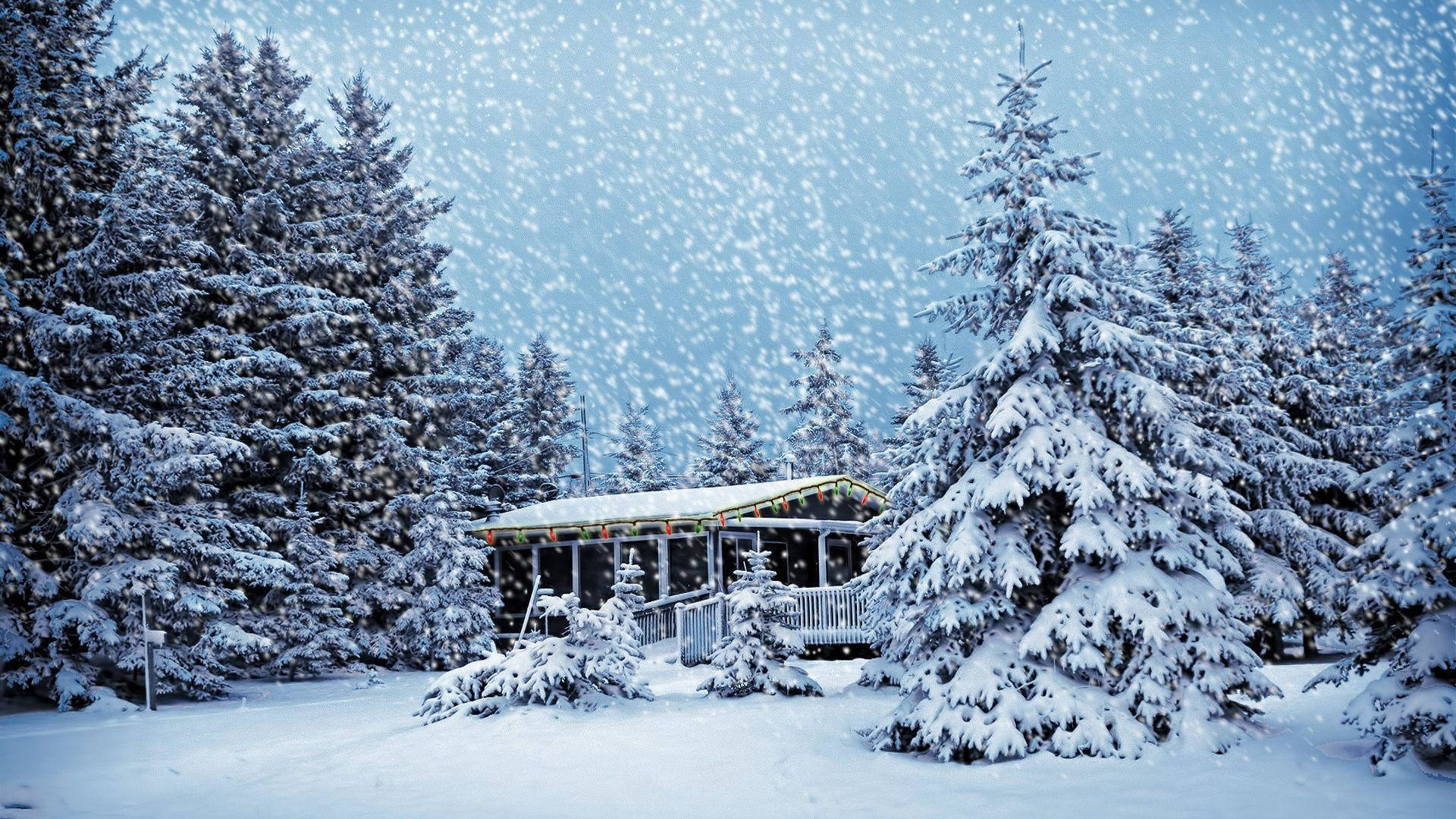 Snowy Christmas, cozy cabin, snow-laden evergreens, Full HD Desktop Wallpaper