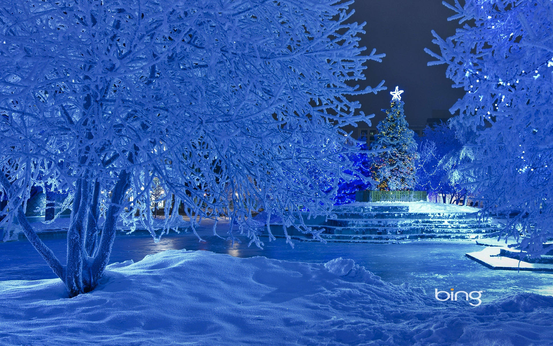 Snowy Christmas, blue lights, snow blankets, Full HD Desktop Wallpaper