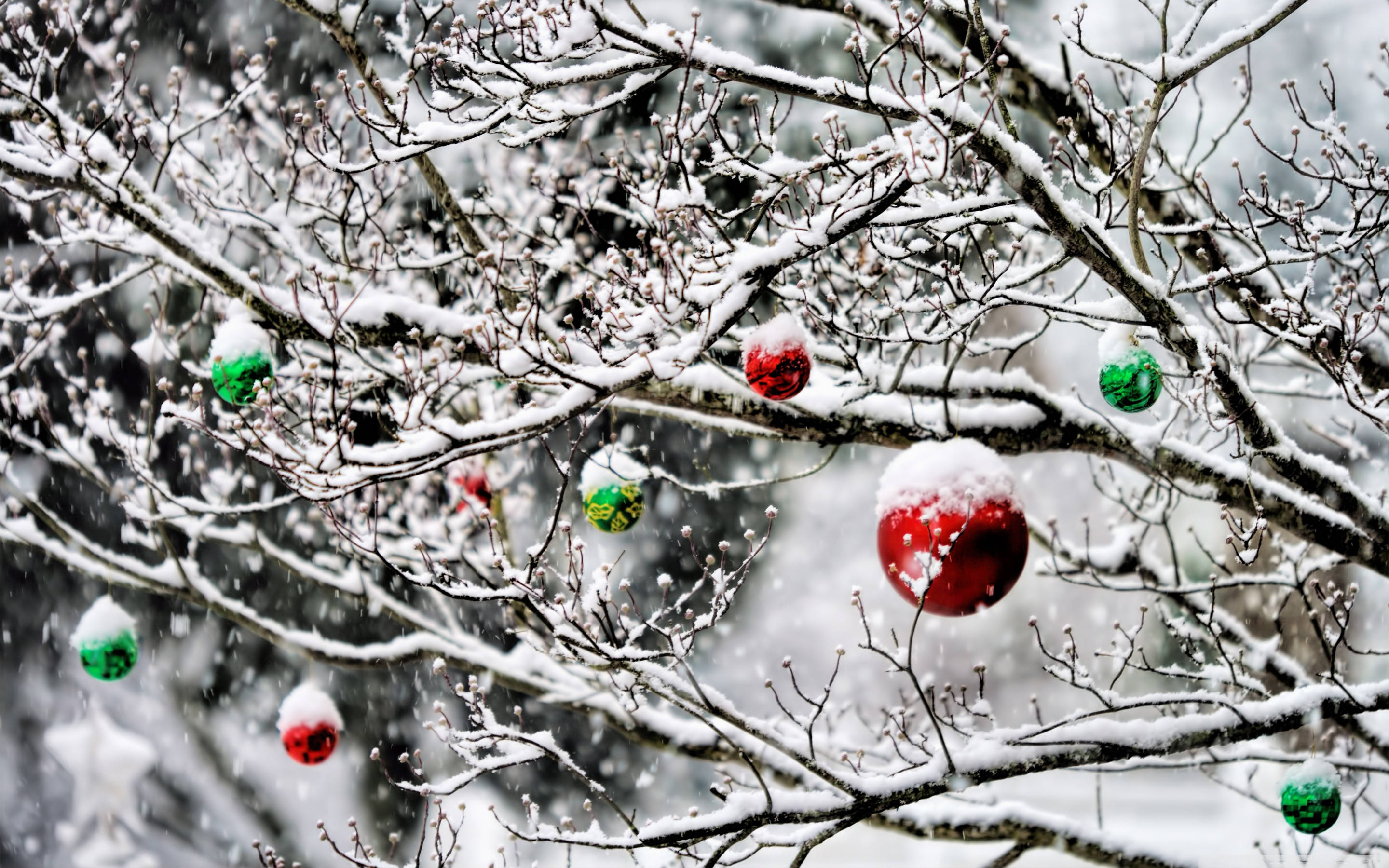 Snowy Christmas, bare tree branches, red and green Christmas ornaments, 2K Desktop Wallpaper