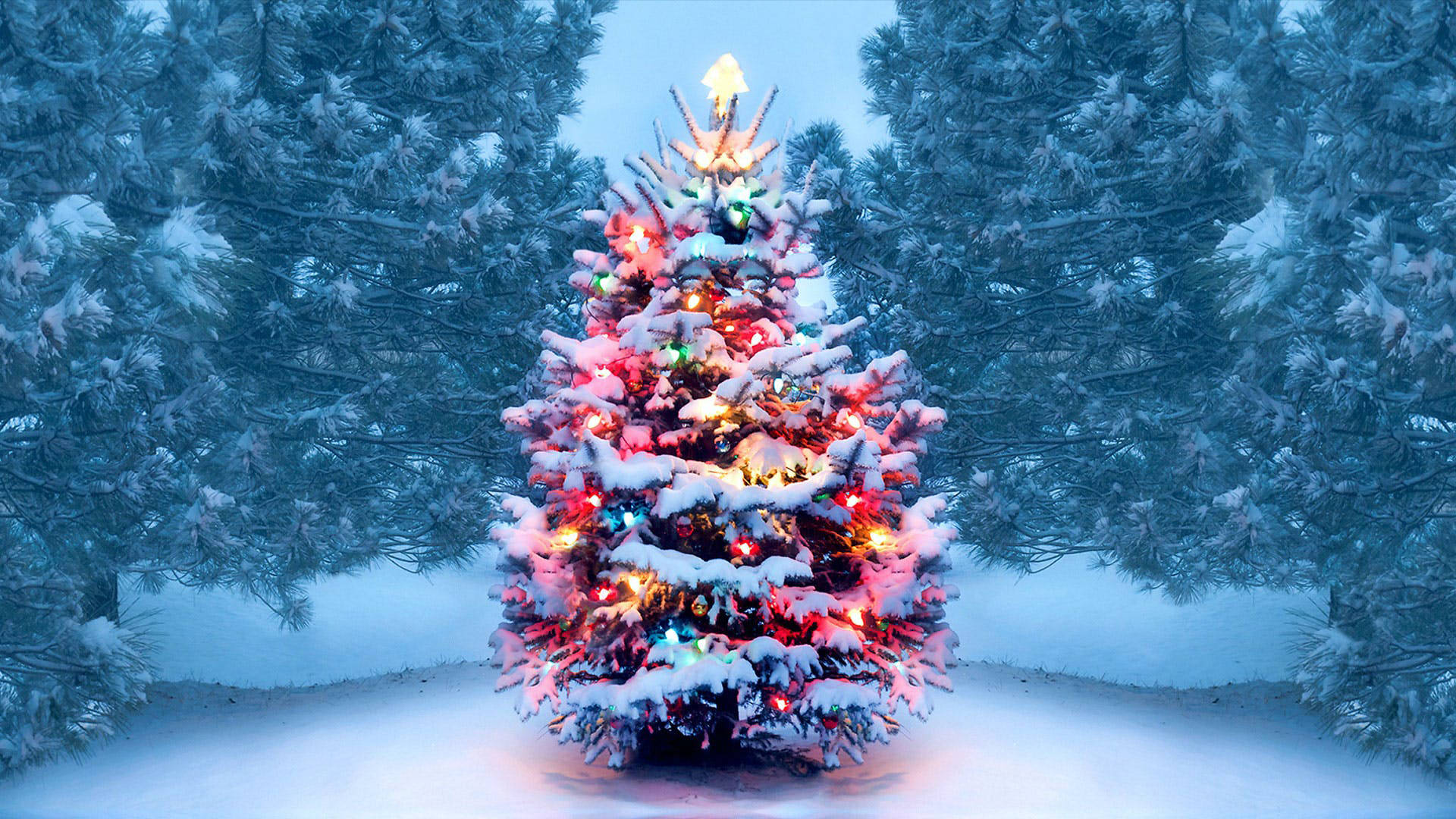 Snowy Christmas, Christmas tree, colorful lights, Full HD Desktop Wallpaper