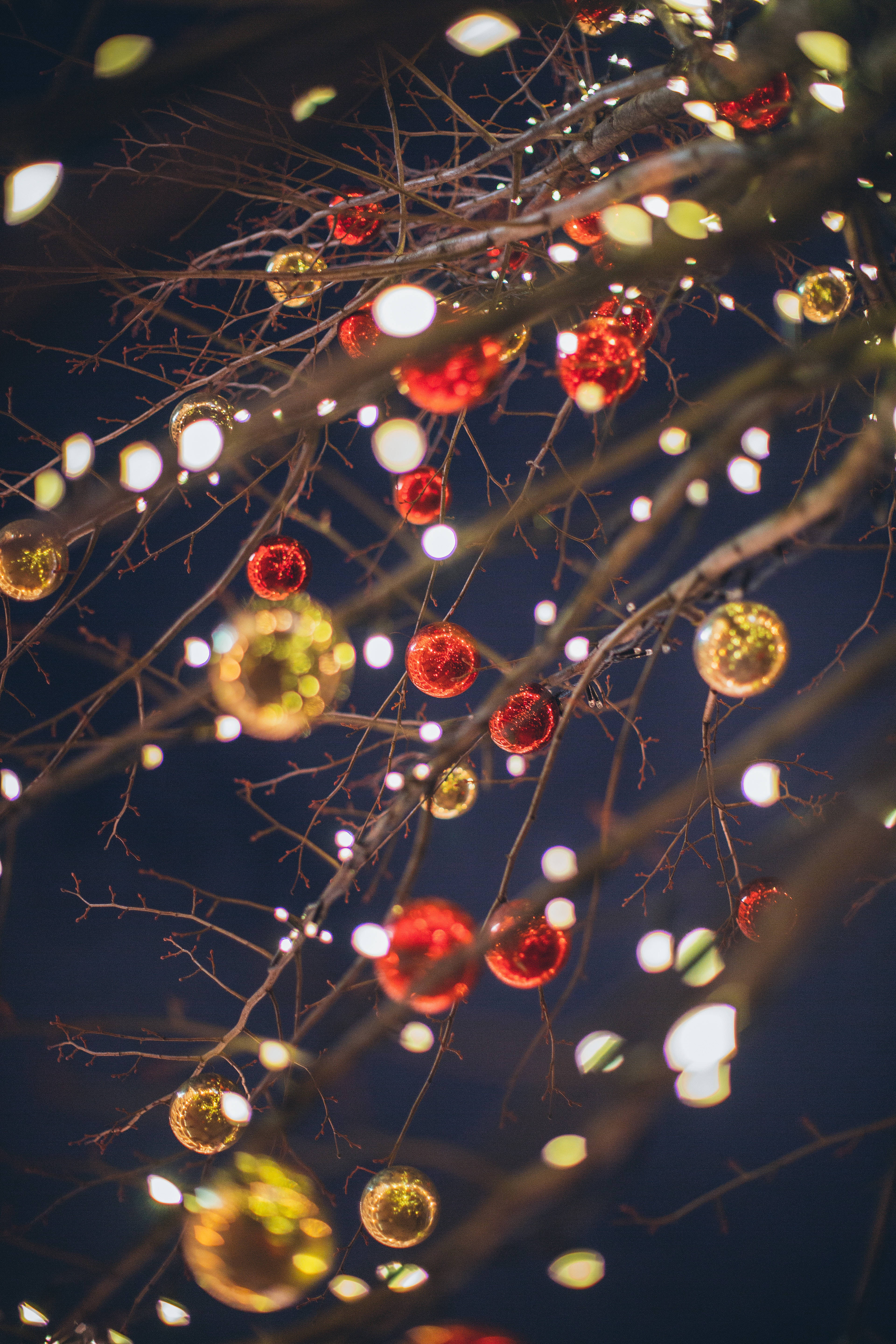 Snowy Christmas, red ornaments, gold ornaments, 5K Phone Wallpaper