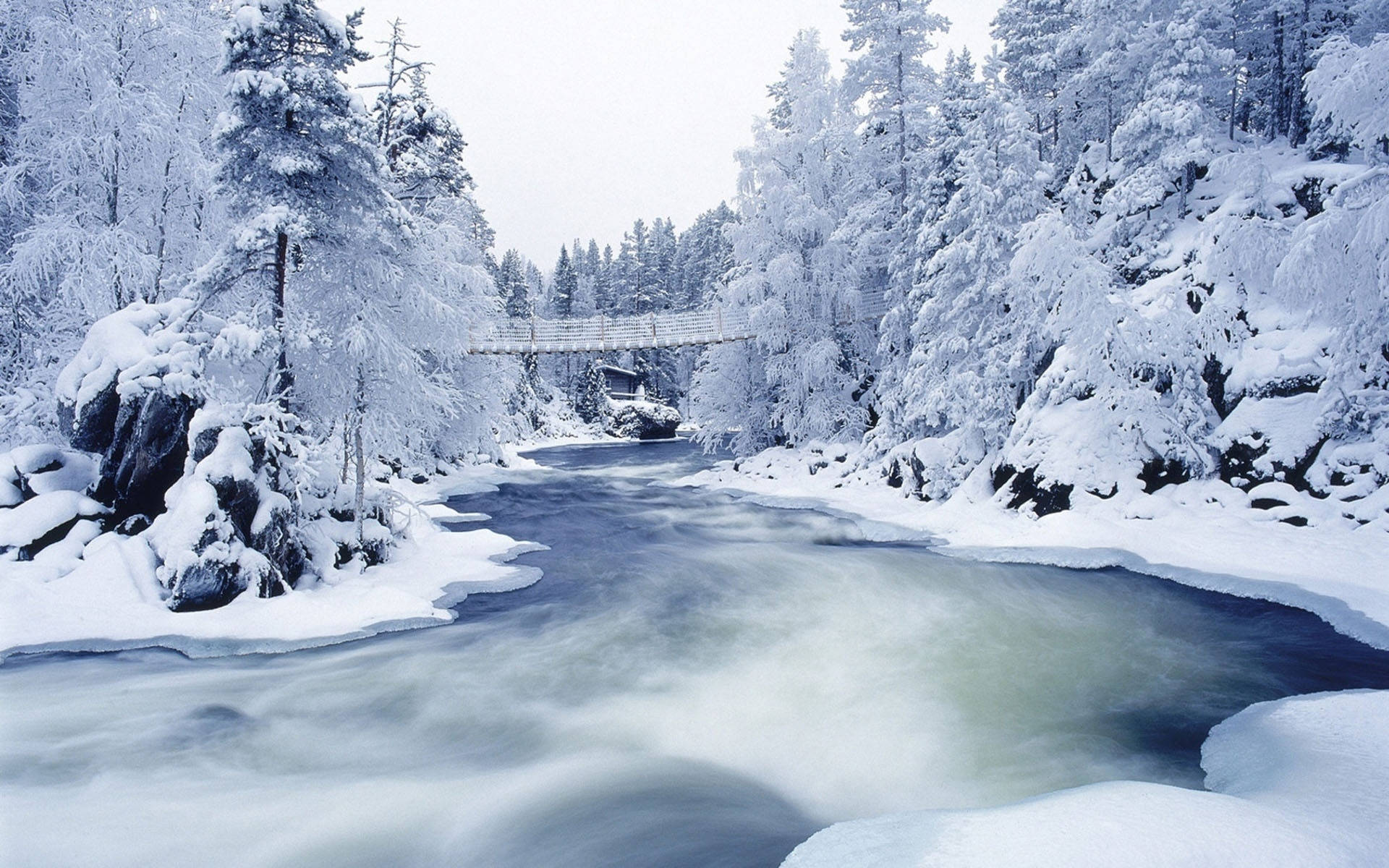 snowy christmas, winter's day, snow-covered bridge, Full HD Desktop Wallpaper