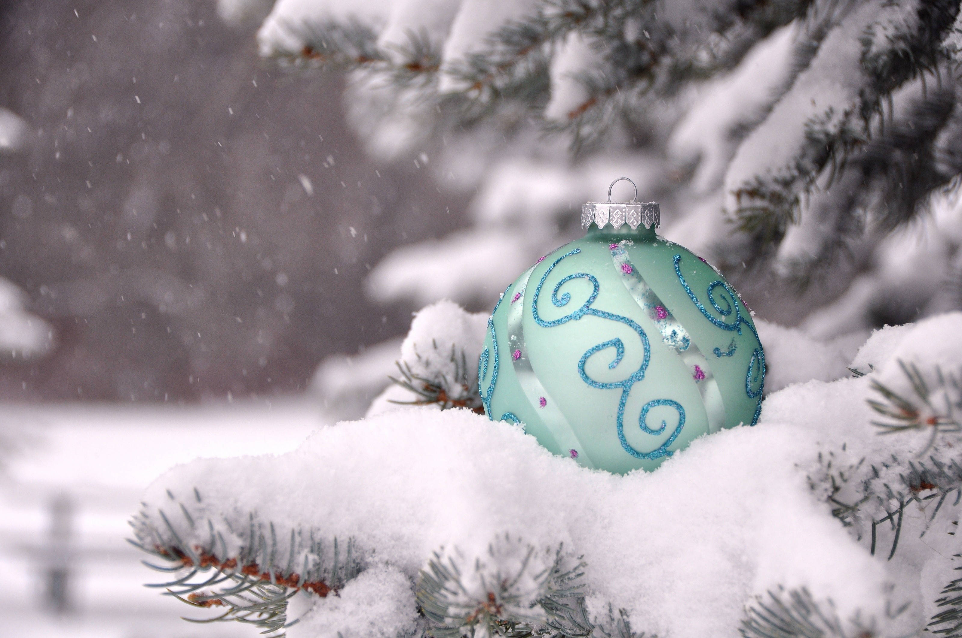 blue ornament, pine tree, snow, 2K Desktop Wallpaper