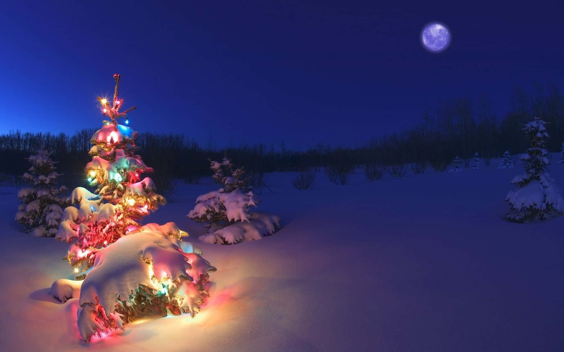 Christmas village, snow-covered pine tree, glowing multicolored lights, Full HD Desktop Wallpaper