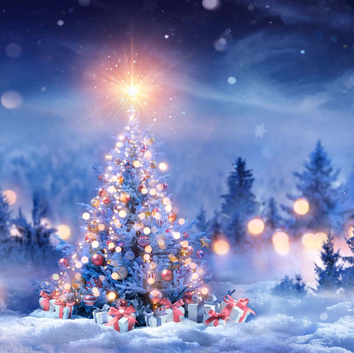 Christmas tree, snow-covered, warm lights, SD Desktop Wallpaper