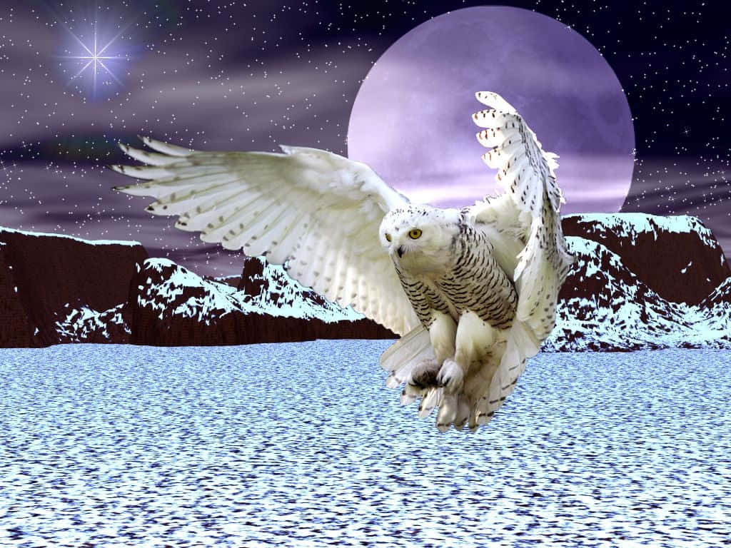 Snowy Owl, icy waters, giant purple moon, SD Desktop Wallpaper
