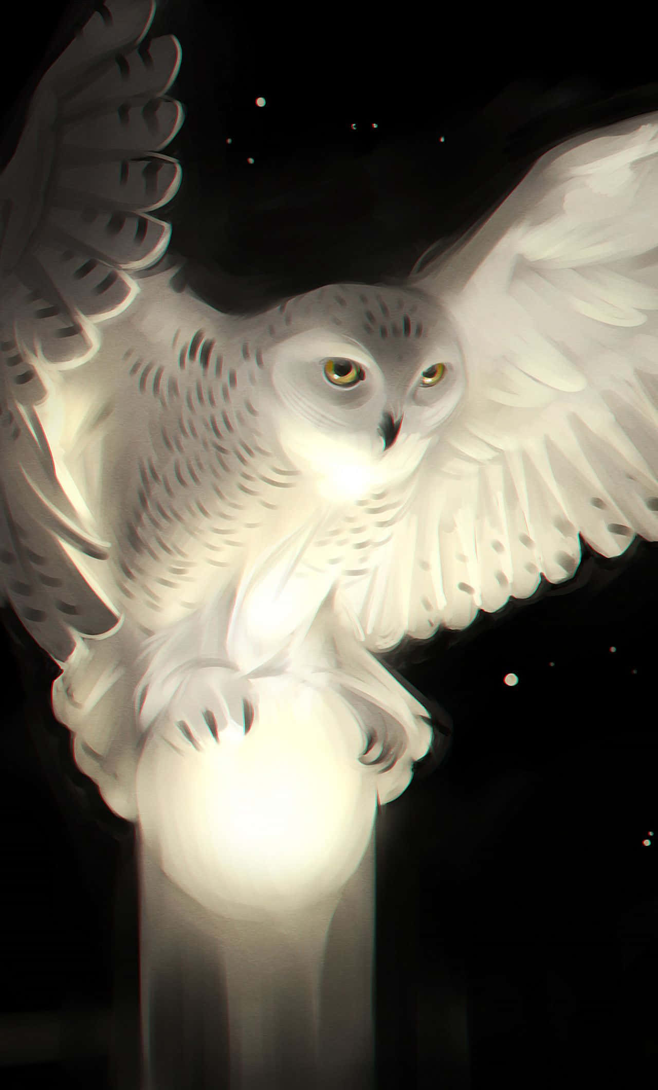 Snowy Owl, glowing orb, starry night sky, Full HD Phone Wallpaper