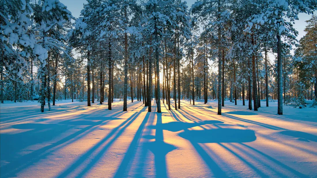 Snowy Road