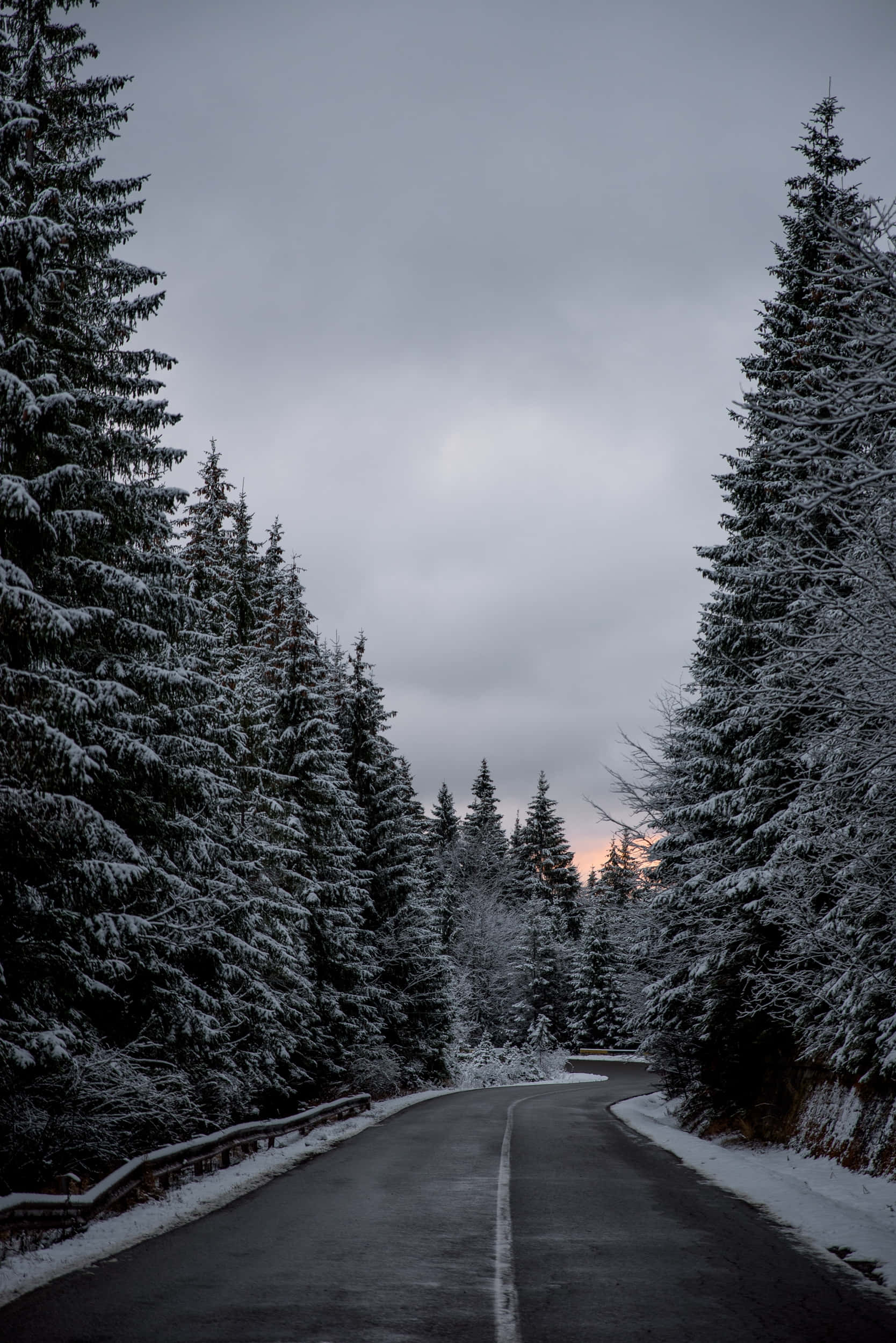 snowy road, winding road, snowy forest, Full HD Phone Wallpaper
