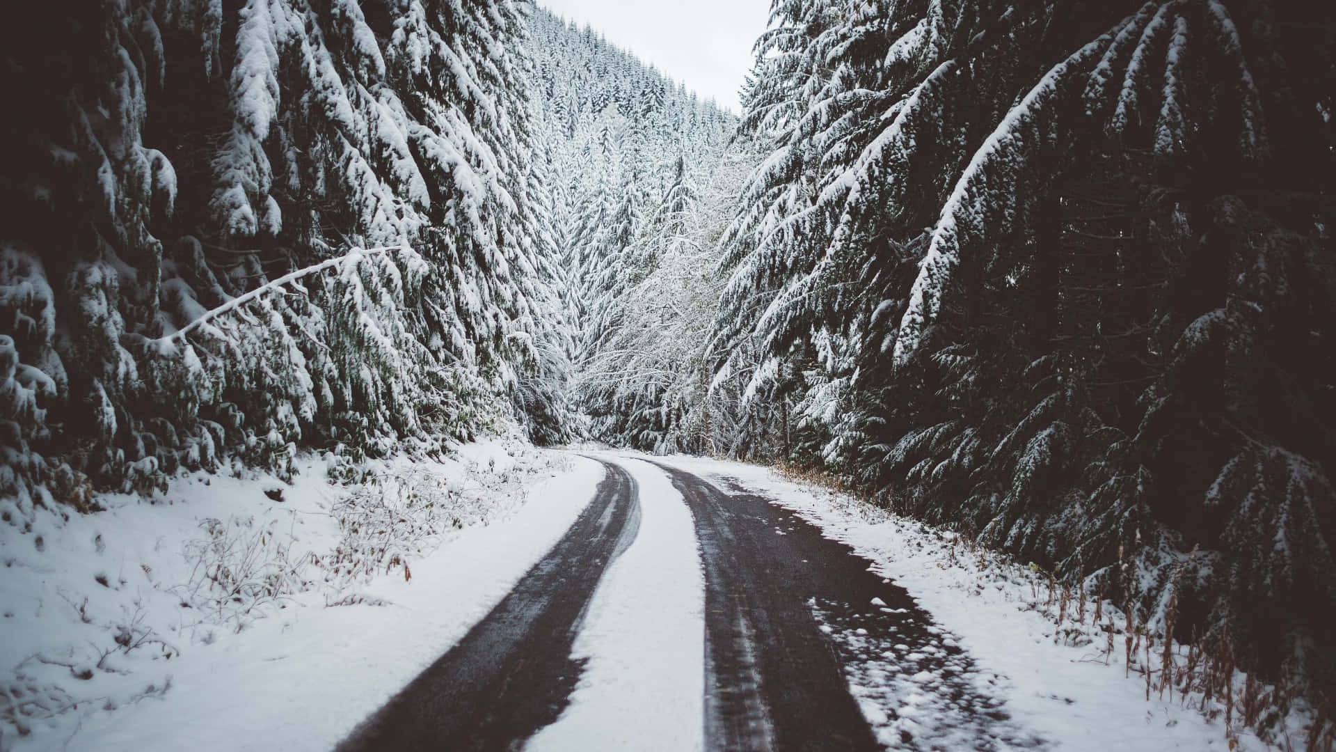 Snowy Road, winding snowy road, dense forest, Full HD Desktop Wallpaper