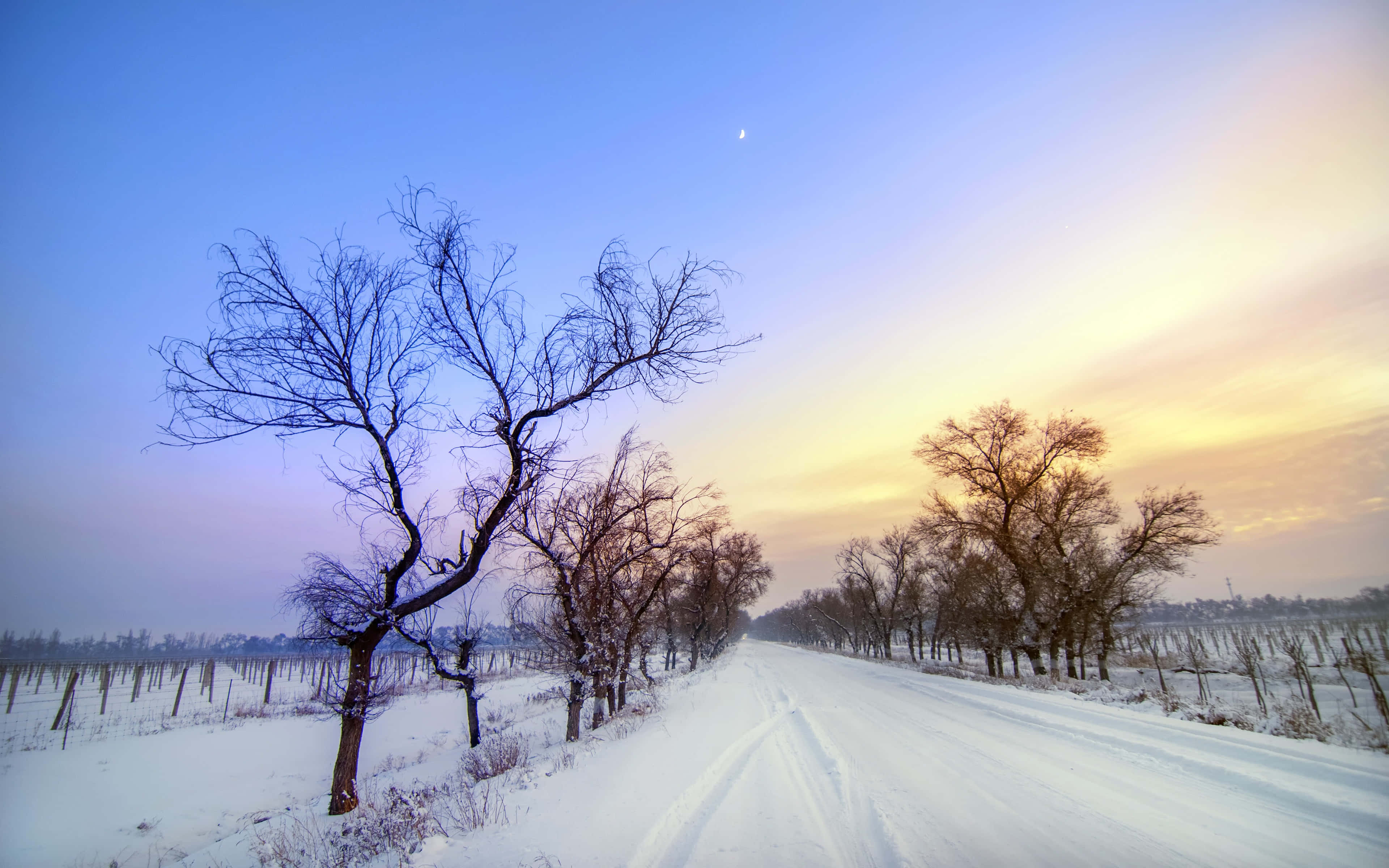 Snowy Road, 3840 x 2400, winter vineyard, 4K Desktop Wallpaper