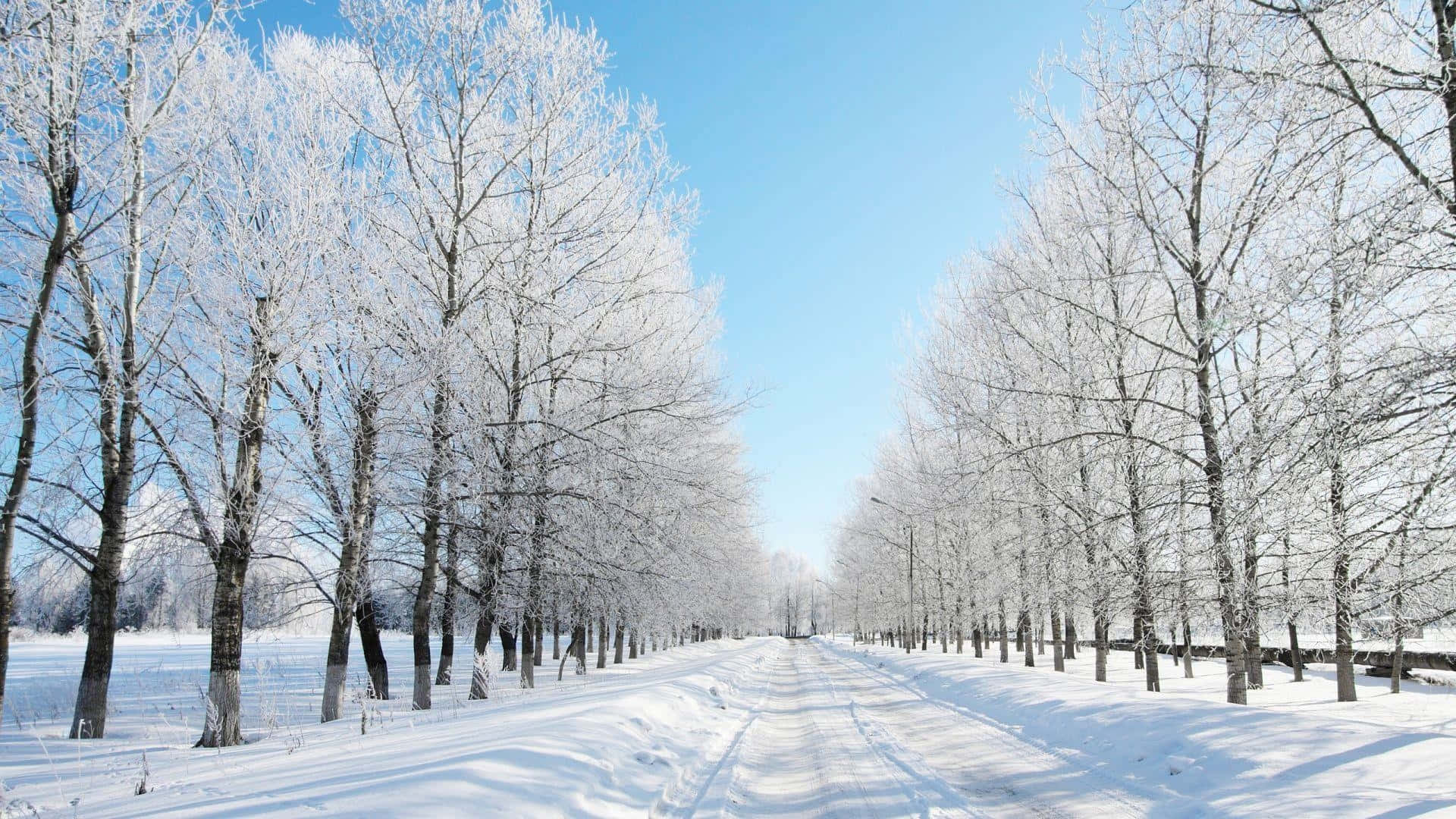 Snowy Road, winter, snow-covered road, Full HD Desktop Wallpaper