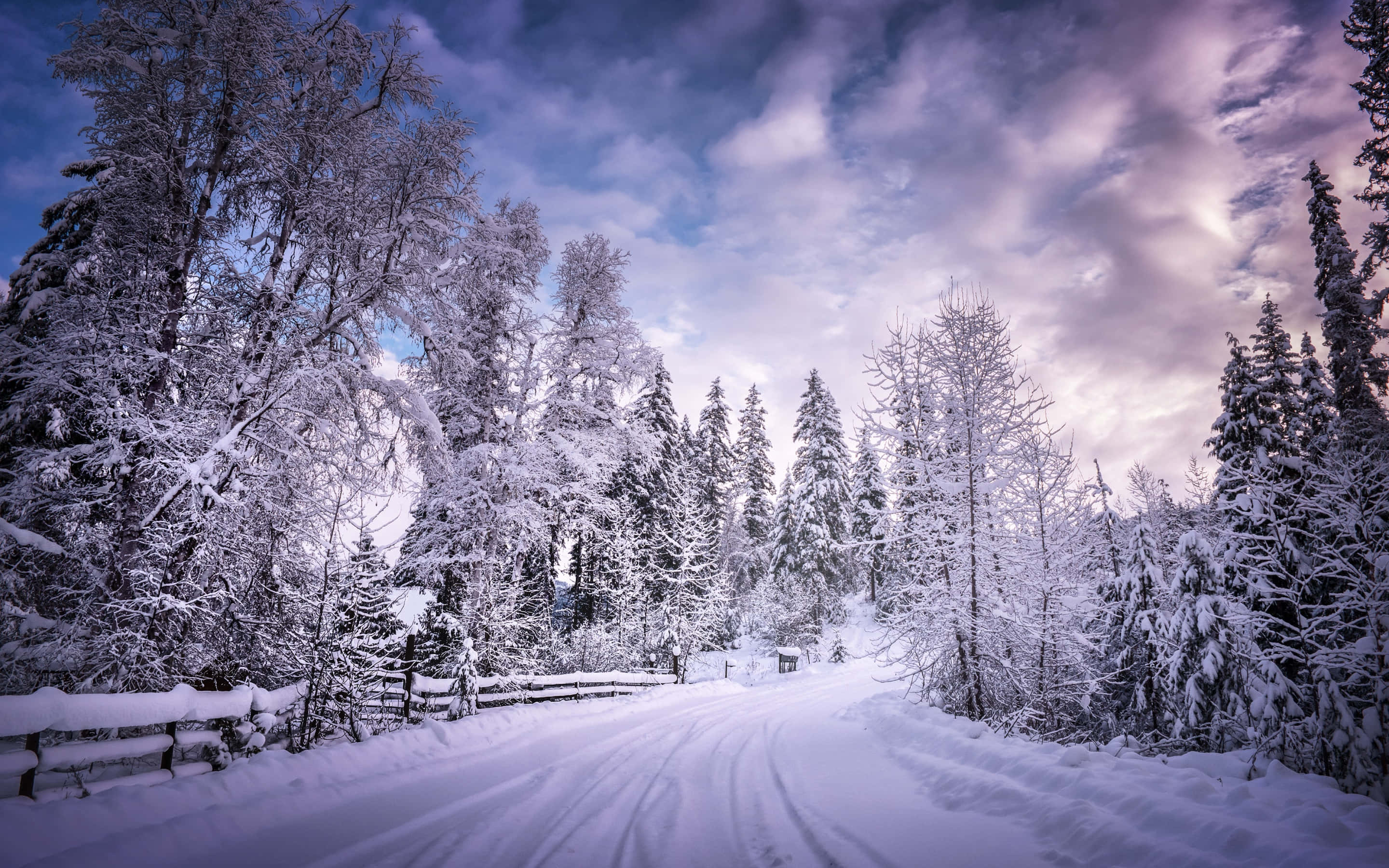 Snowy Road, winter road, snow-covered forest road, 2K Desktop Wallpaper