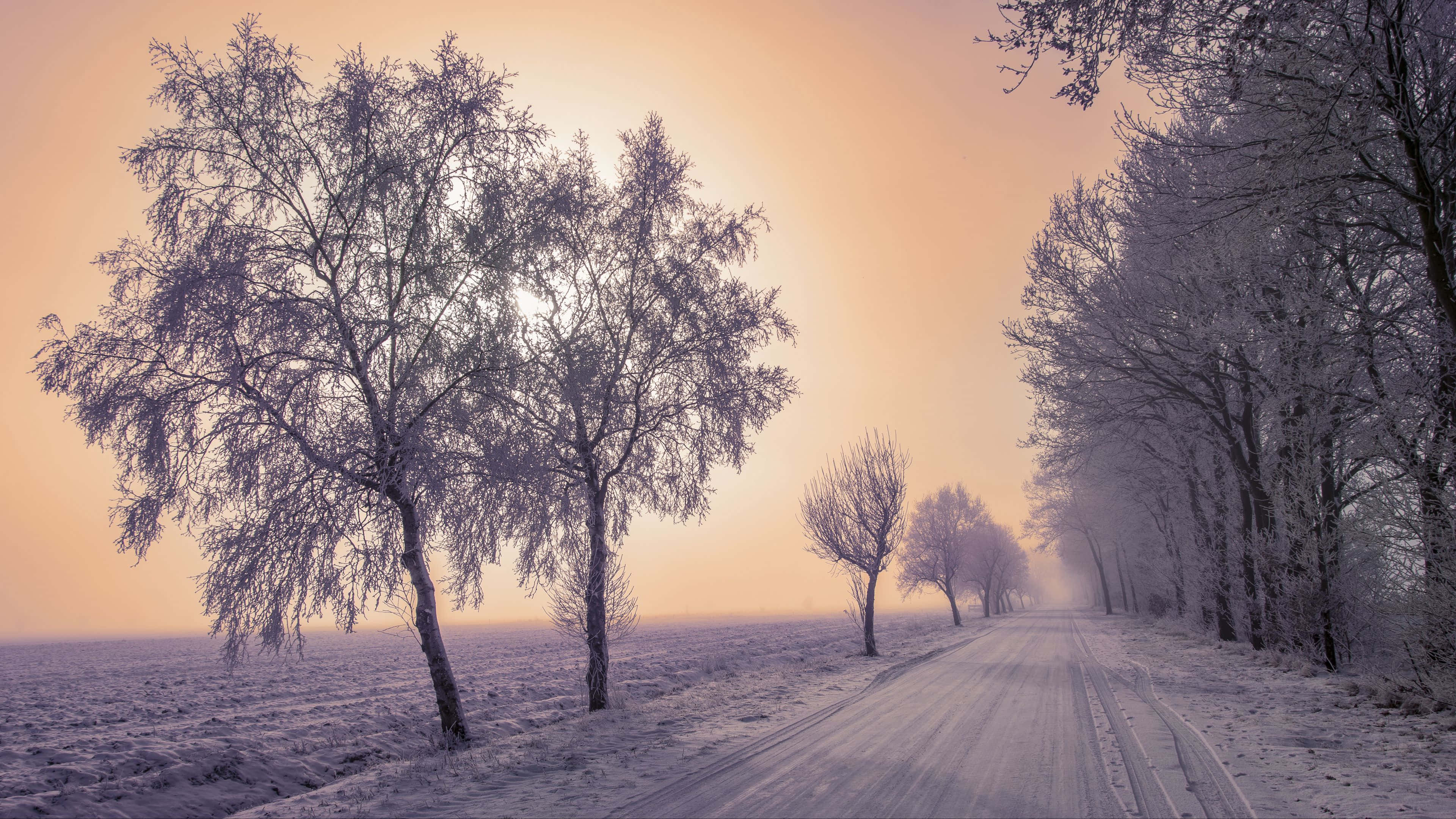 Snowy Road, frost-covered road, snow-blanketed trees, 4K Desktop Wallpaper