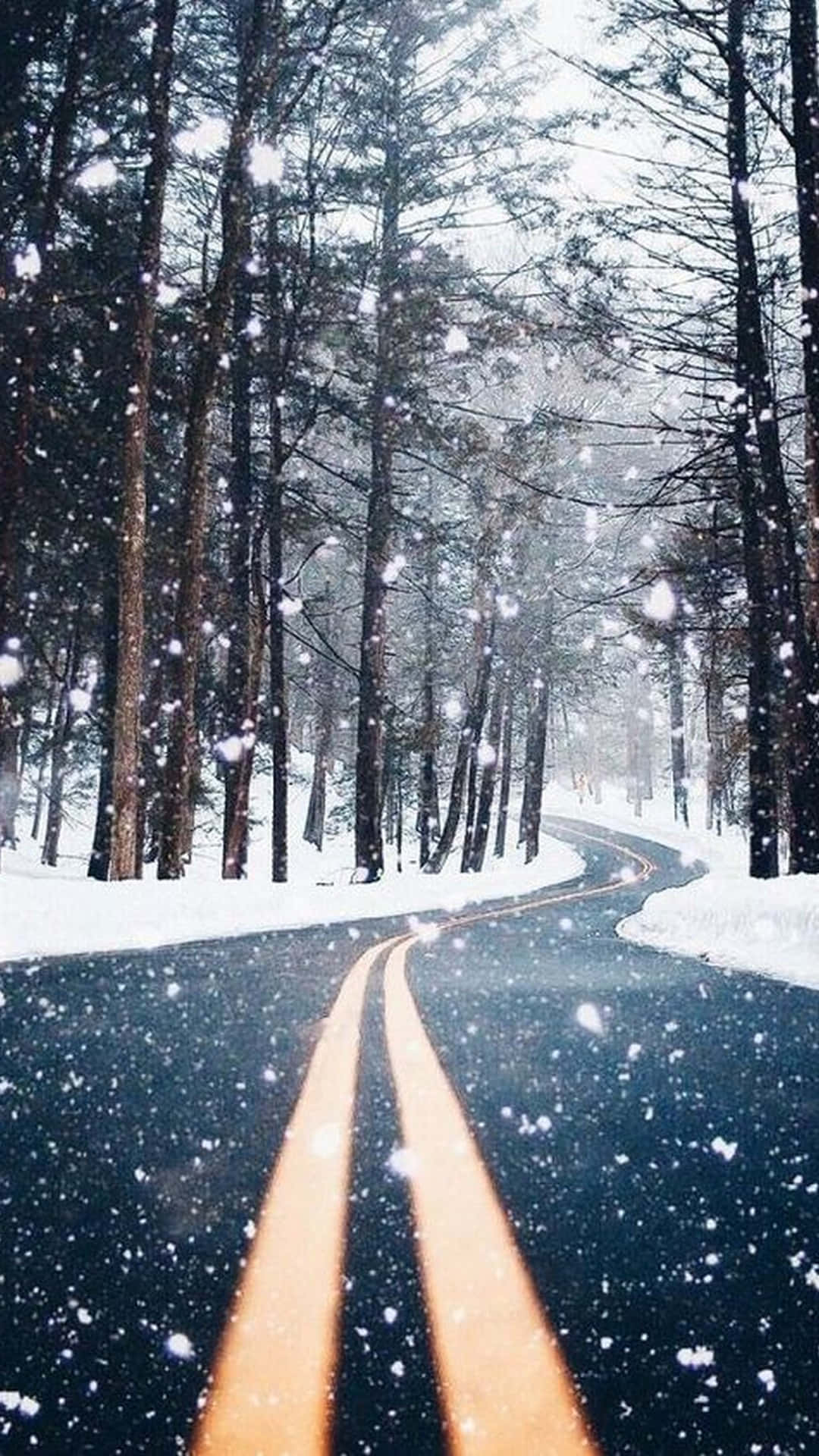 winding snowy road, dense pine forest, snowflakes, Full HD Phone Wallpaper