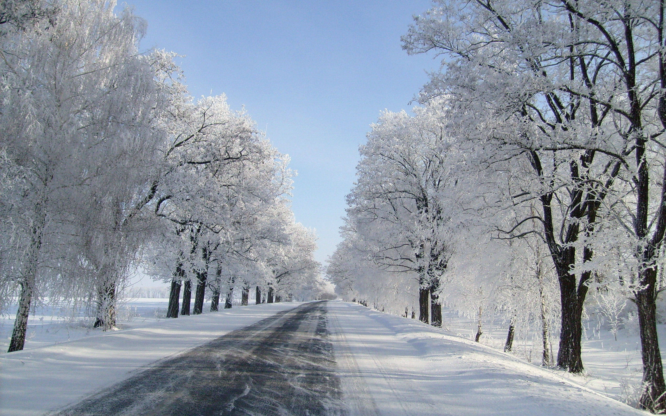 Snow Aesthetic Road, snow-covered road, frost-laden trees, 2K Desktop Wallpaper