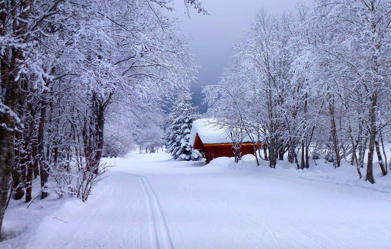 Snowy Road, red cabin, snow-laden trees, HD Desktop Wallpaper