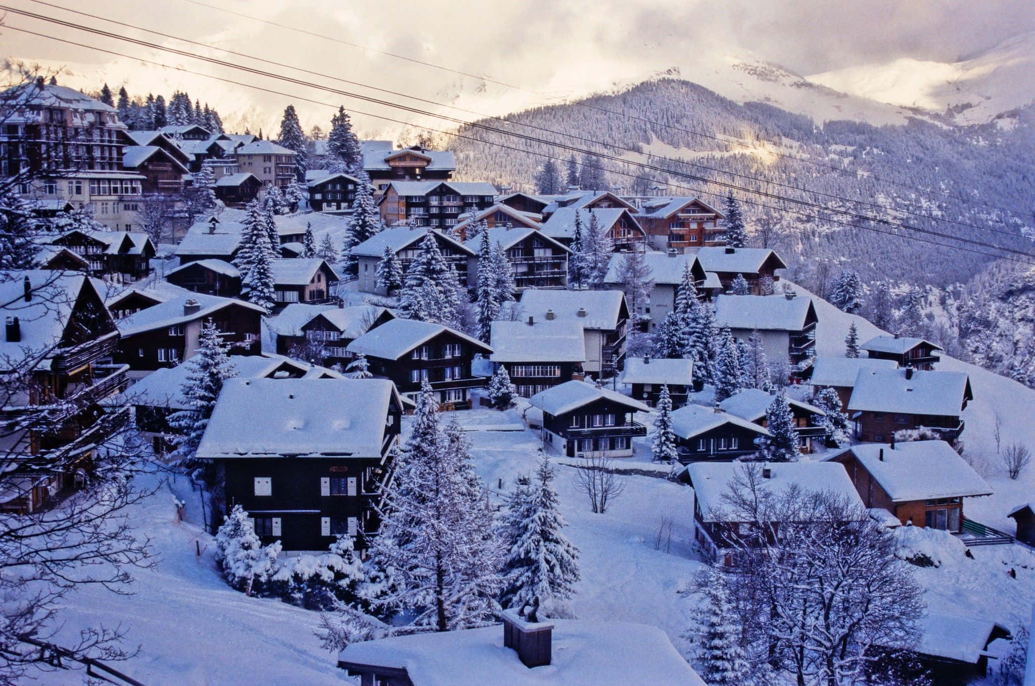Snowy Village, alpine village, pine trees, Full HD Desktop Wallpaper