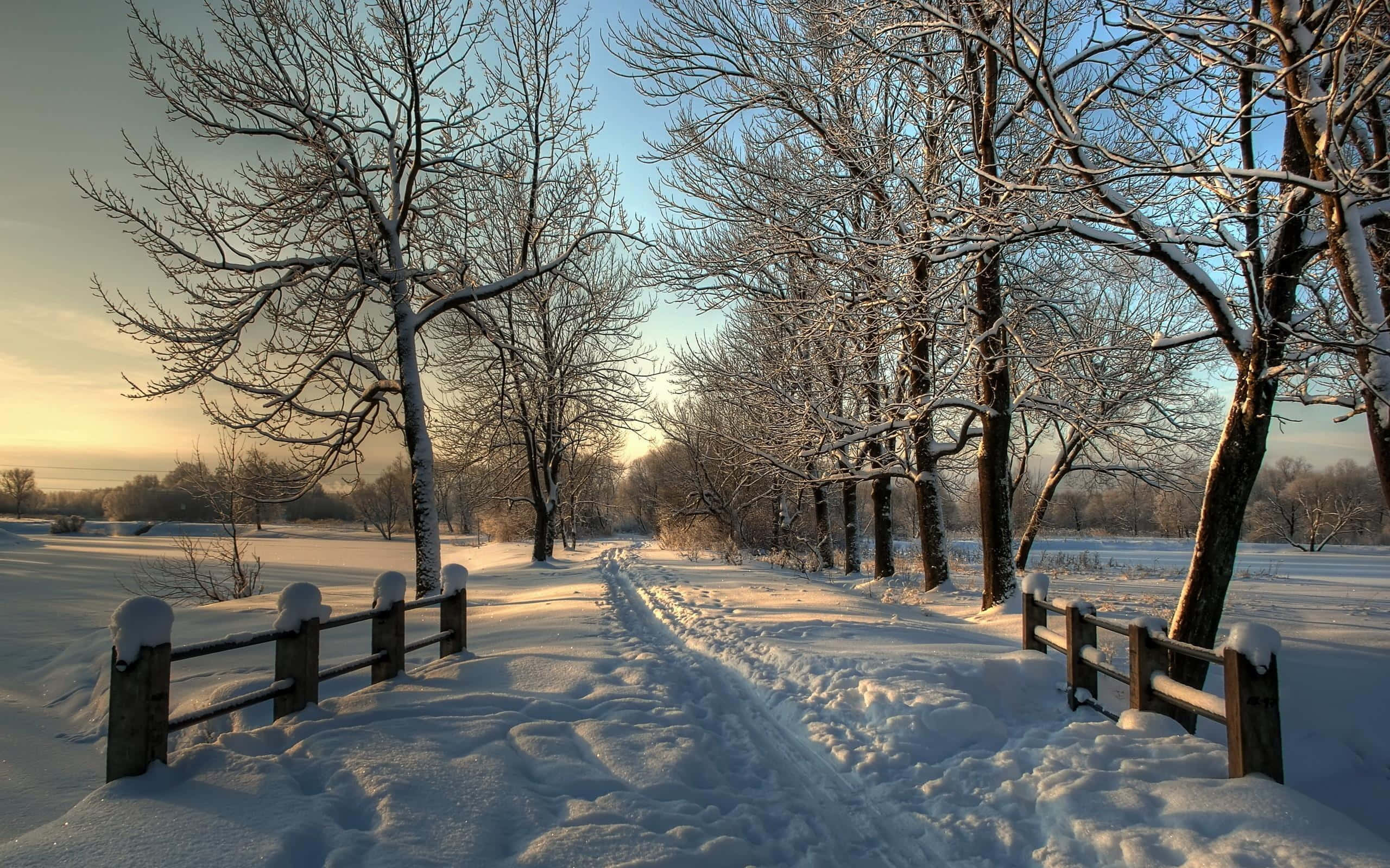 Snowy Village, sunrise, snow-covered path, 2K Desktop Wallpaper