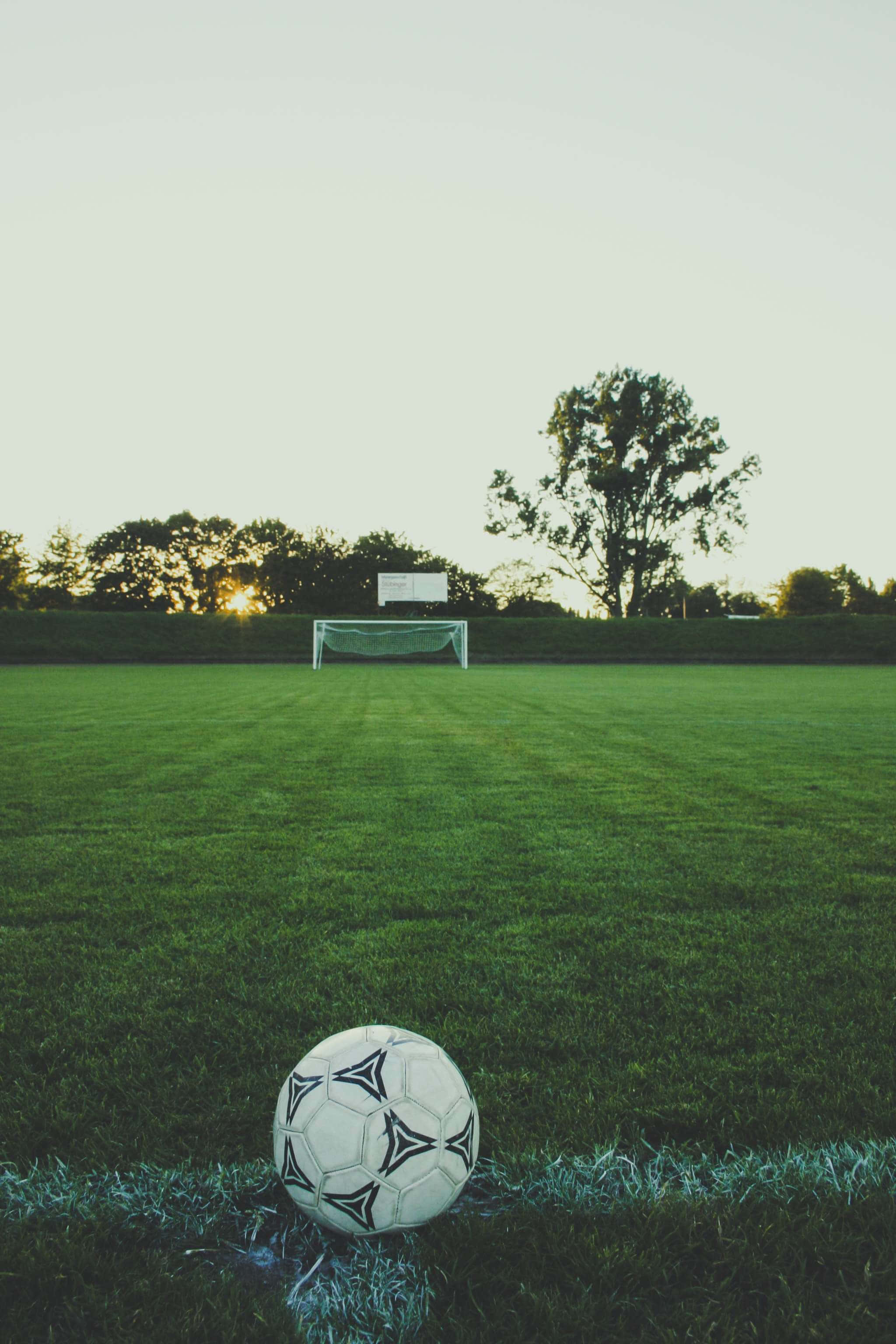 soccer ball, grassy field, sunset, 2K Phone Wallpaper