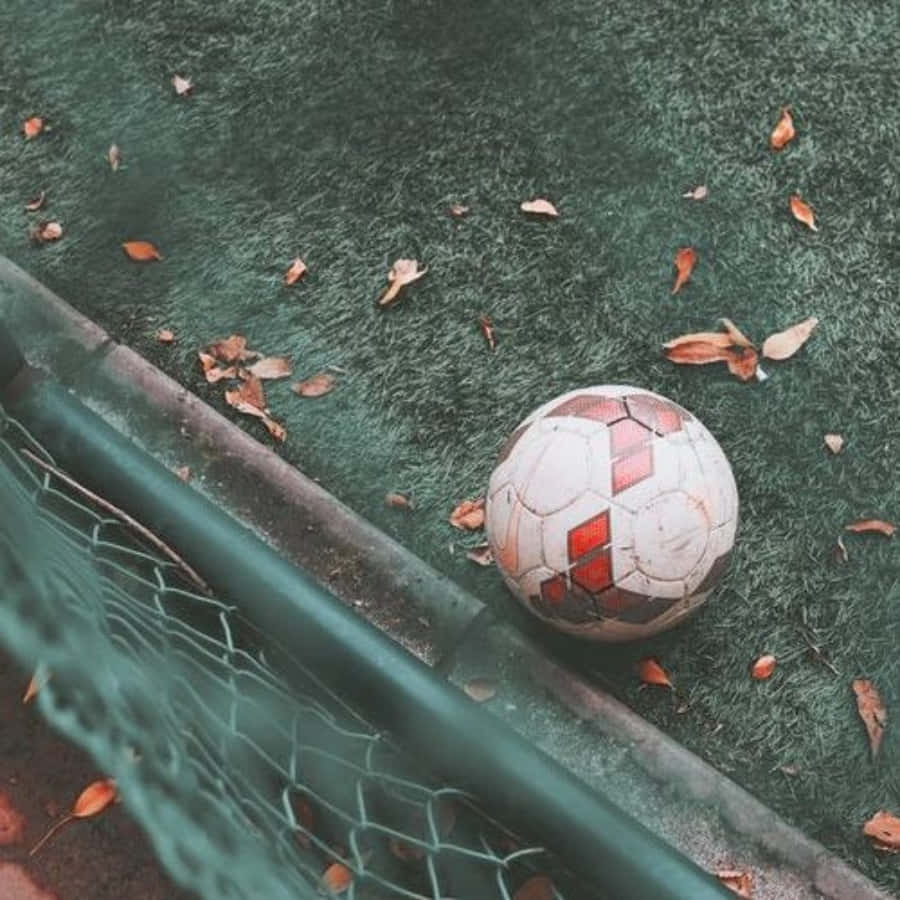soccer ball, green artificial turf, autumn leaves, SD Desktop Wallpaper