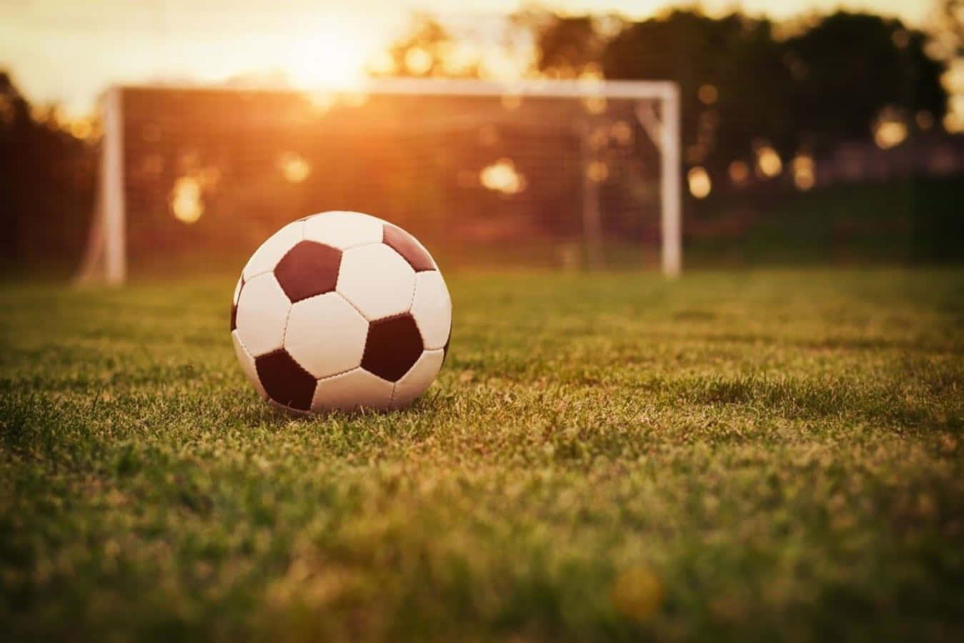 black and white soccer ball, vibrant green grass, blurred goalpost, HD Desktop Wallpaper