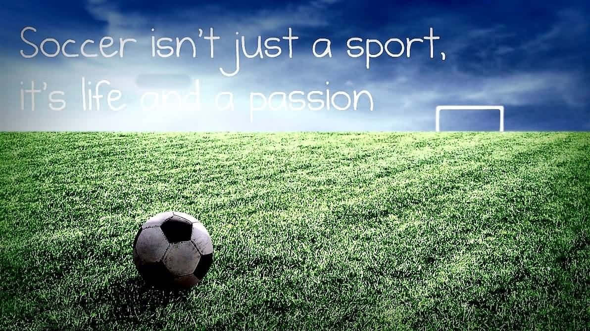 black and white soccer ball, vibrant green grass, dramatic cloudy sky, SD Desktop Wallpaper