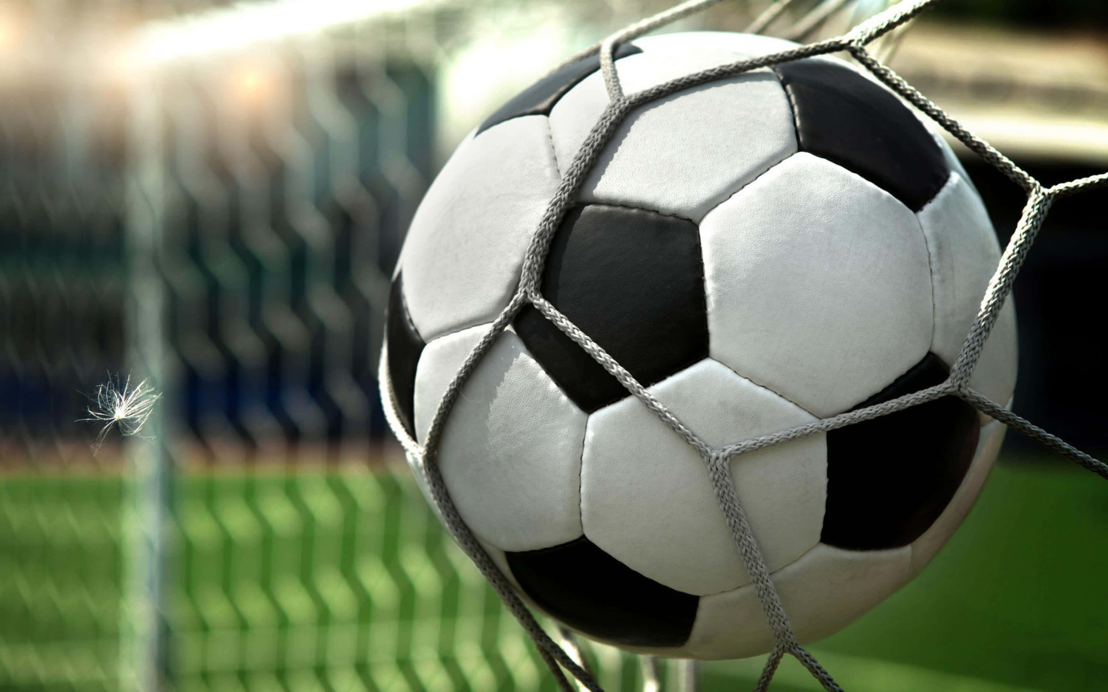 soccer ball, black and white, net, 4K Desktop Wallpaper