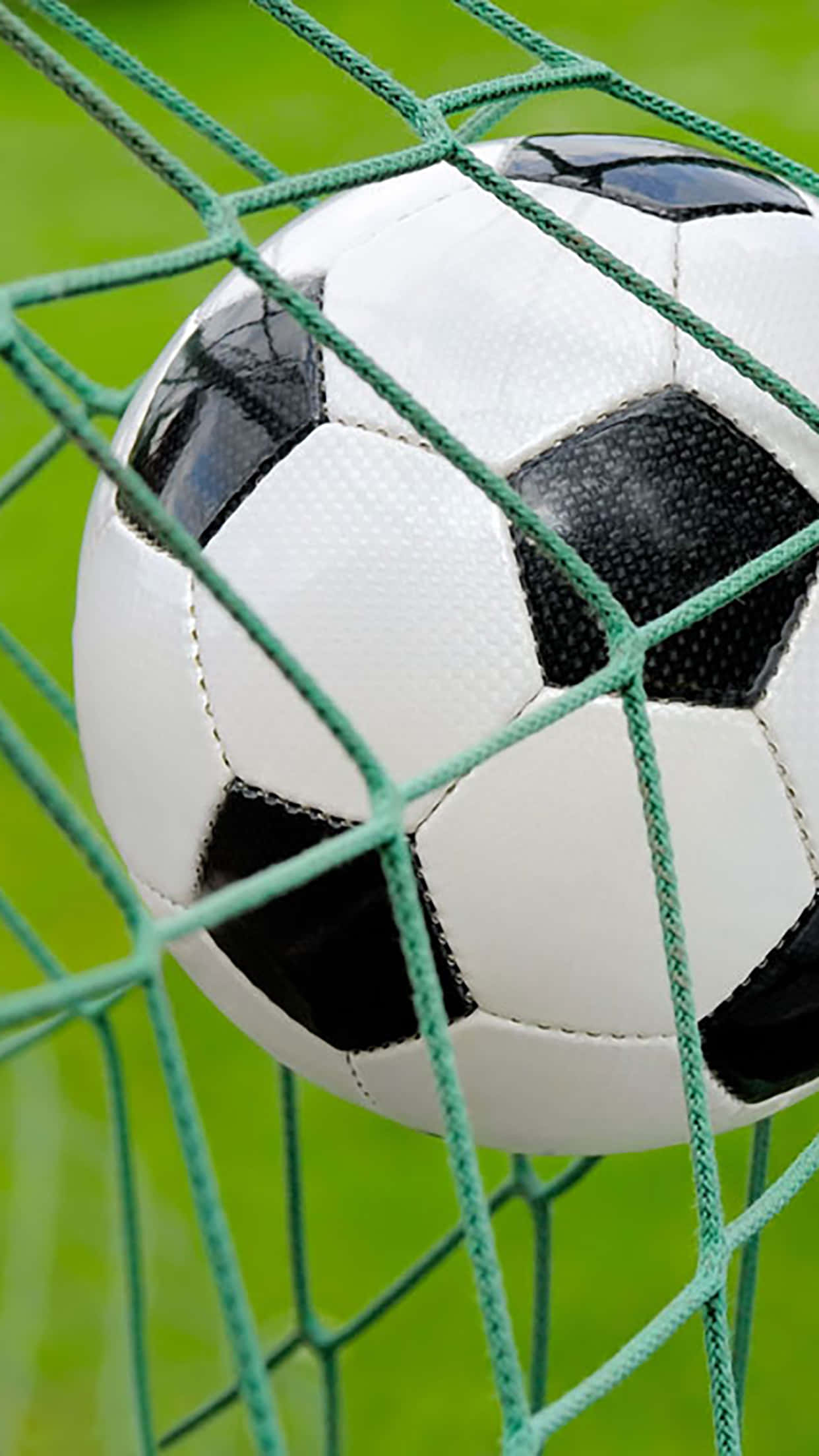 Soccer iPhone, black and white soccer ball, green net, Full HD Phone Wallpaper