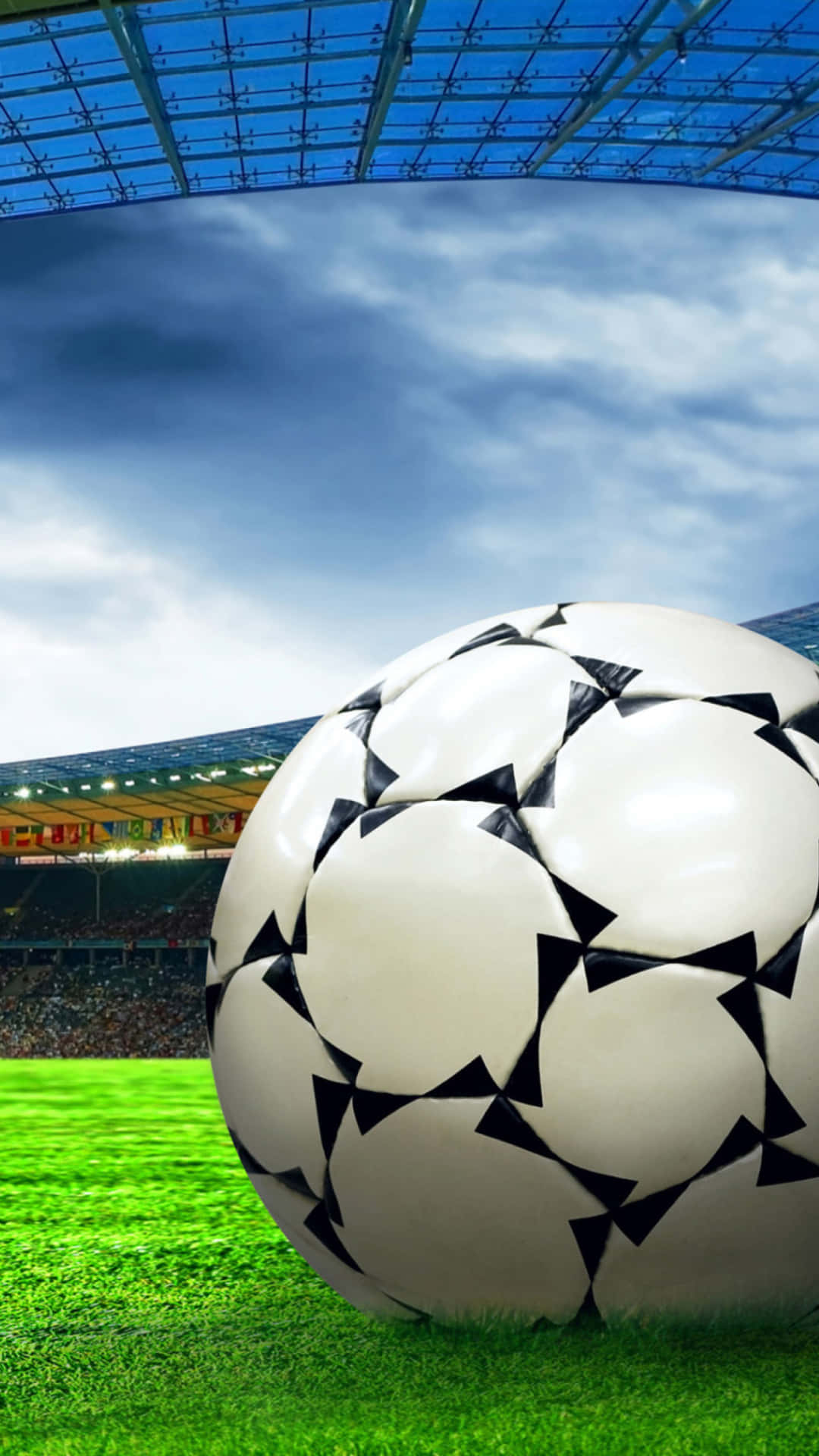 black and white soccer ball, vibrant green grass, cloudy sky, Full HD Phone Wallpaper