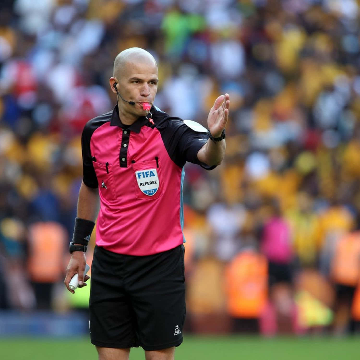 soccer referee, pink and black uniform, whistle, HD Desktop Wallpaper