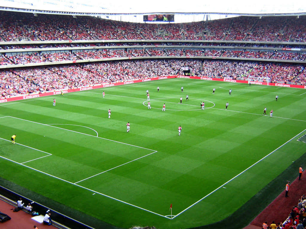 soccer stadium, vibrant green pitch, bright daylight, SD Desktop Wallpaper