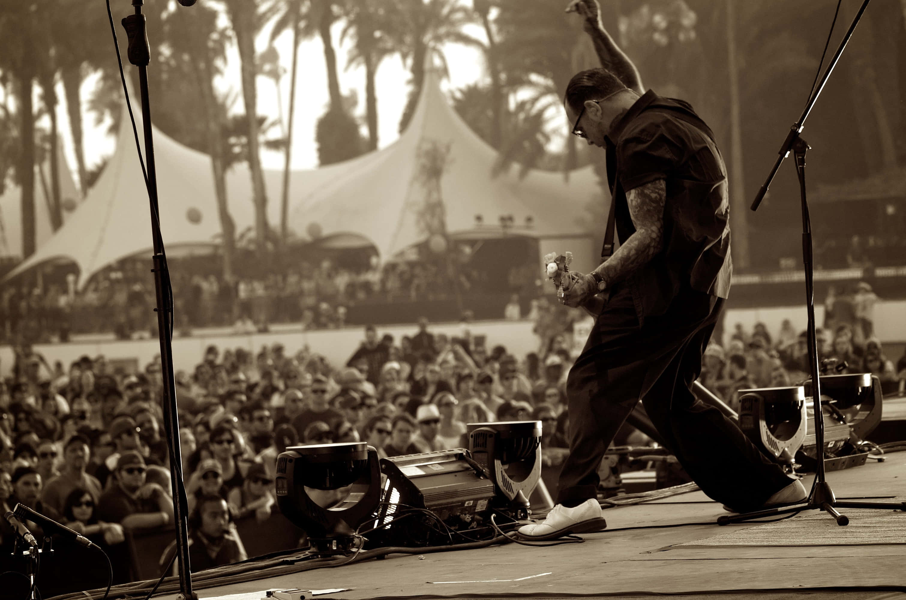 Social Distortion, tattooed musician, outdoor concert, 2K Desktop Wallpaper