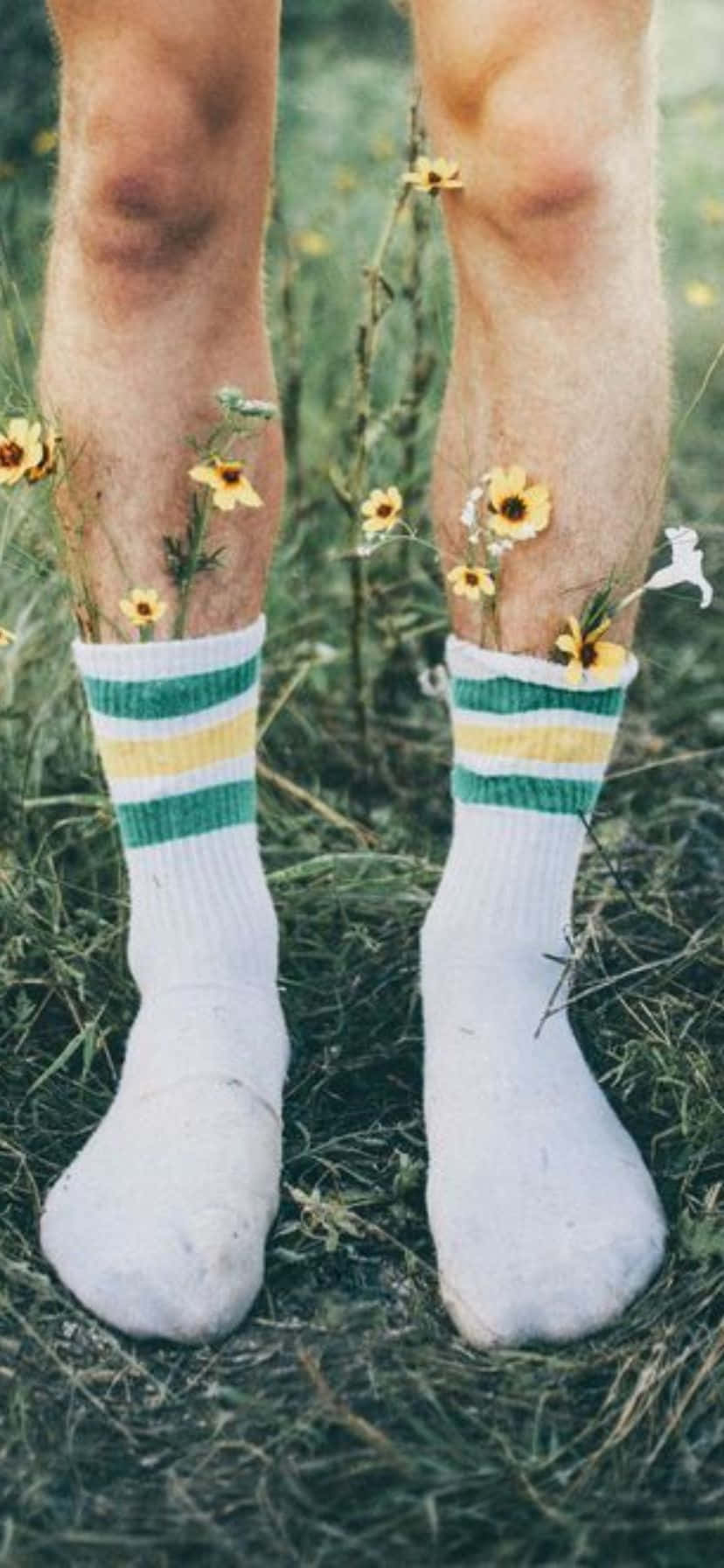 Floral Socksin Nature, striped socks, grass, HD Phone Wallpaper