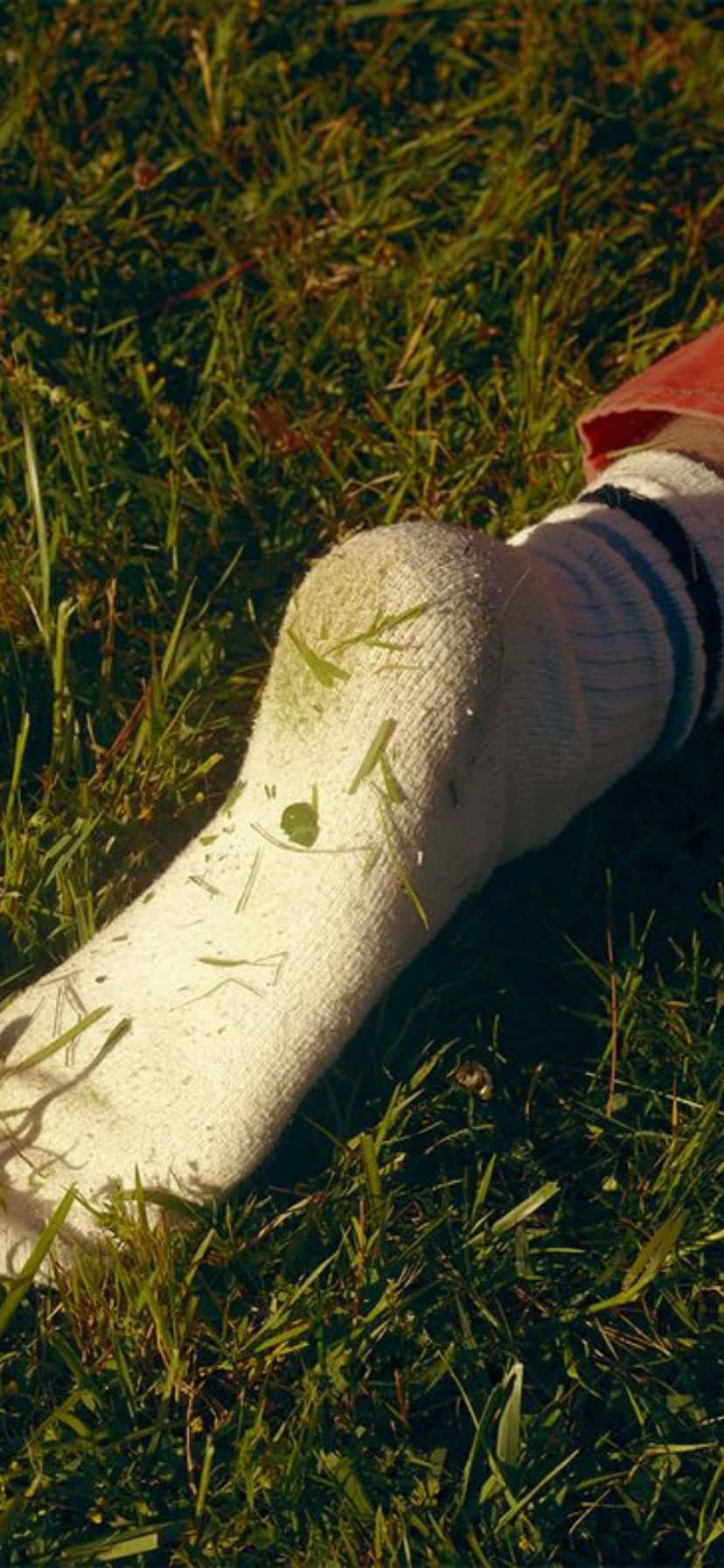 White Sockon Grass, white socked foot, sunlit green grass, HD Phone Wallpaper