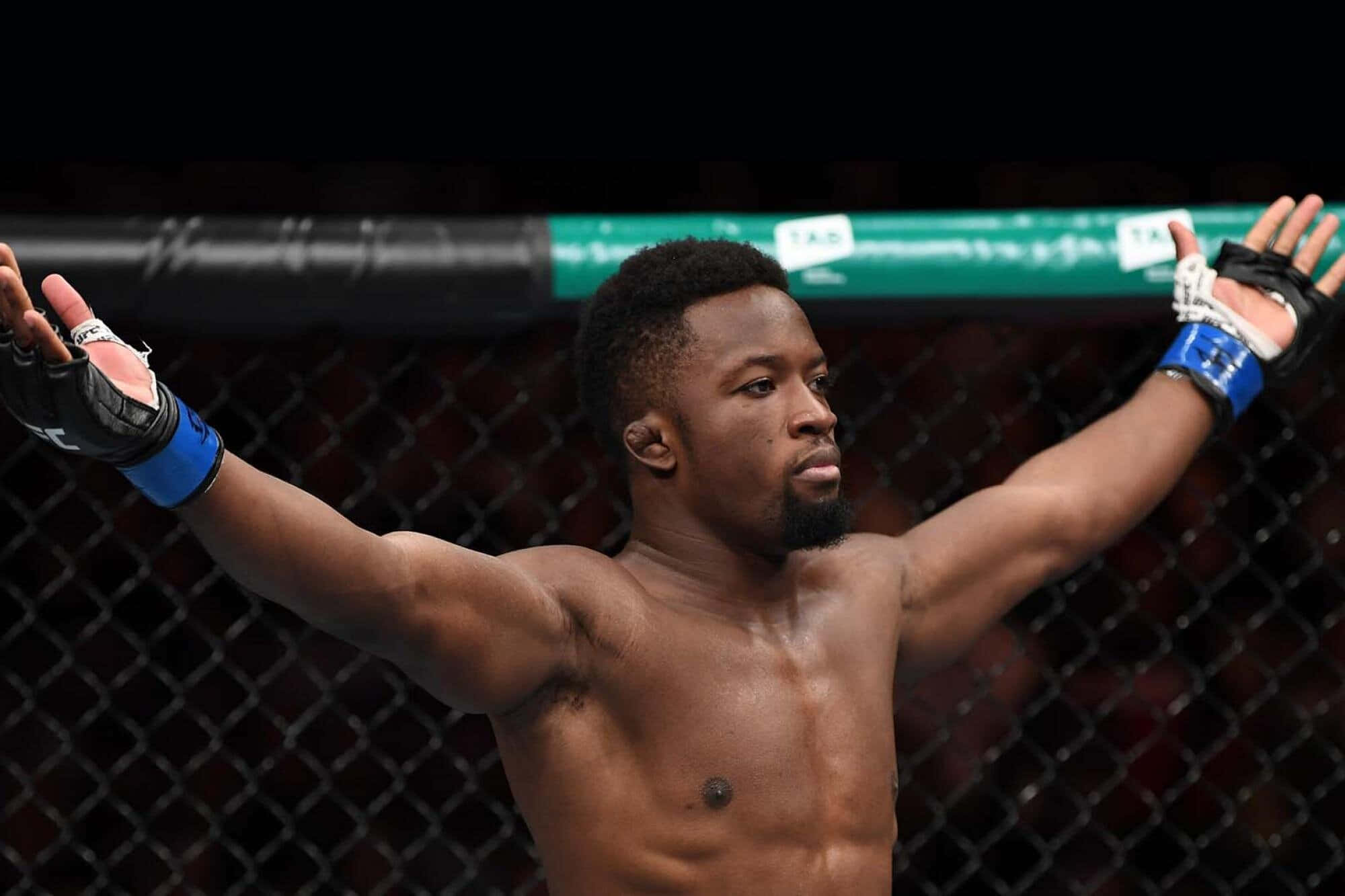 Sodiq Yusuff, cage, arms raised, Full HD Desktop Wallpaper