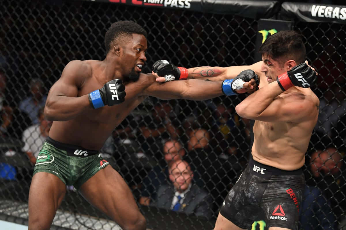Sodiq Yusuff, UFC fighters, octagon, SD Desktop Wallpaper