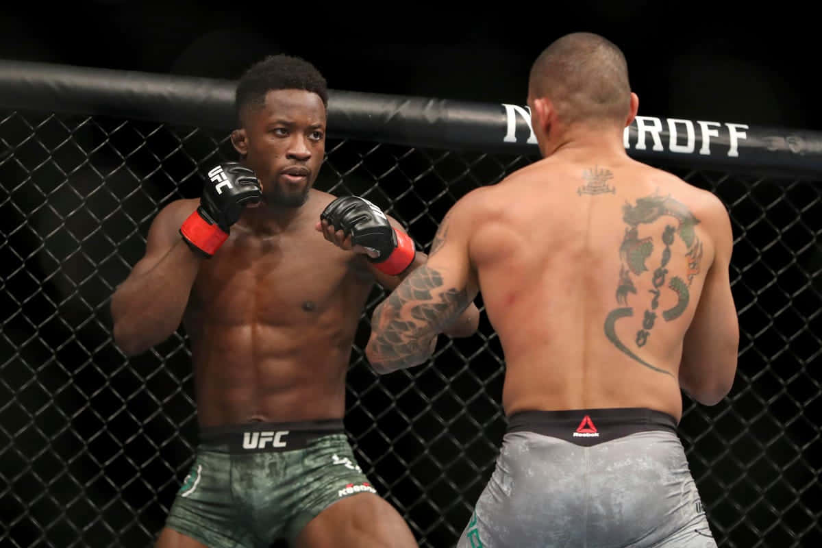 Sodiq Yusuff, fighting stance, octagon cage, SD Desktop Wallpaper