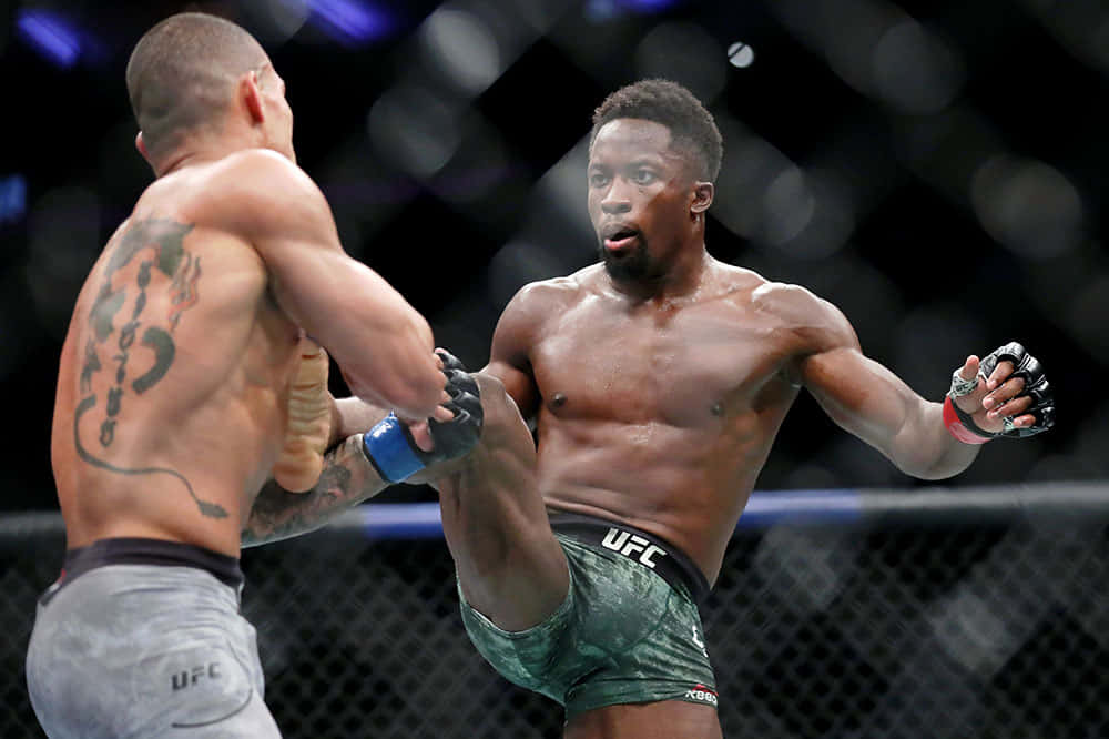 Sodiq Yusuff, right body kick, MMA fighters, SD Desktop Wallpaper