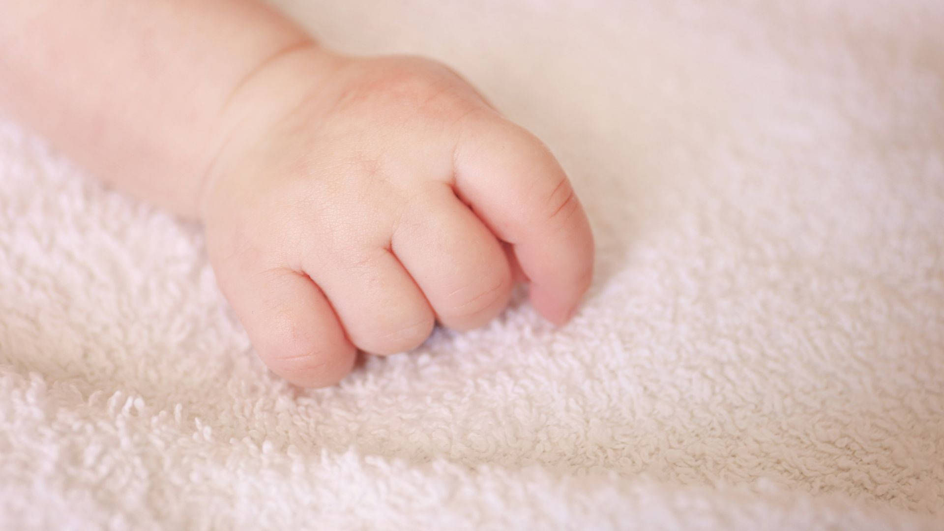 baby hand, soft fluffy white towel, close-up, Full HD Desktop Wallpaper