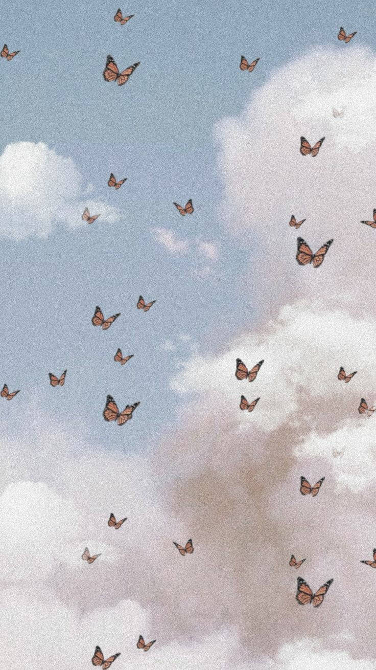 Soft Aesthetic, Monarch butterflies, pastel clouds, HD Phone Wallpaper