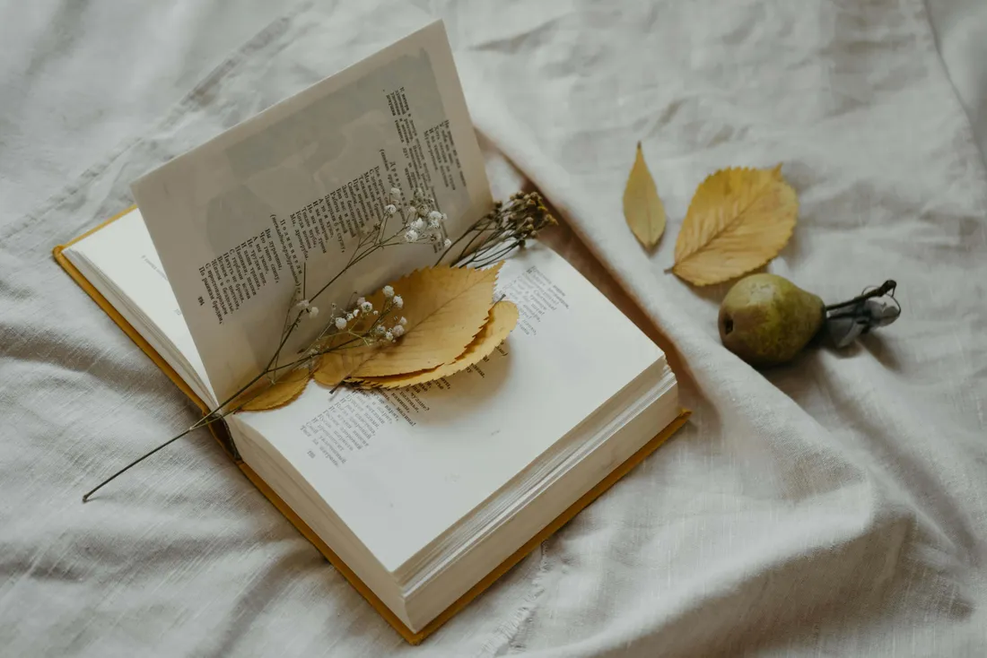 Soft Beige Aesthetic