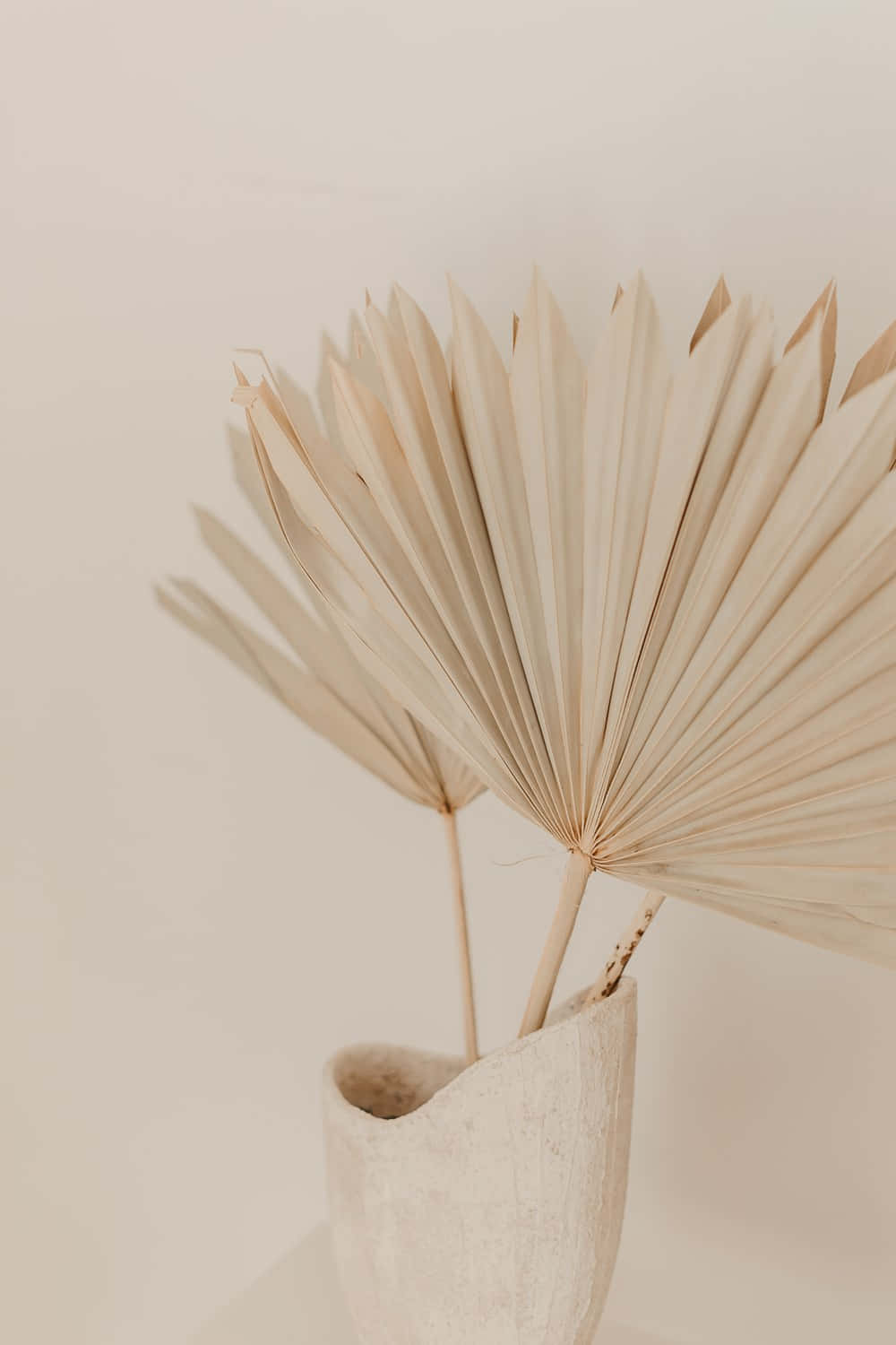 Soft Brown Aesthetic, dried fan palm fronds, textured beige vase, HD Phone Wallpaper