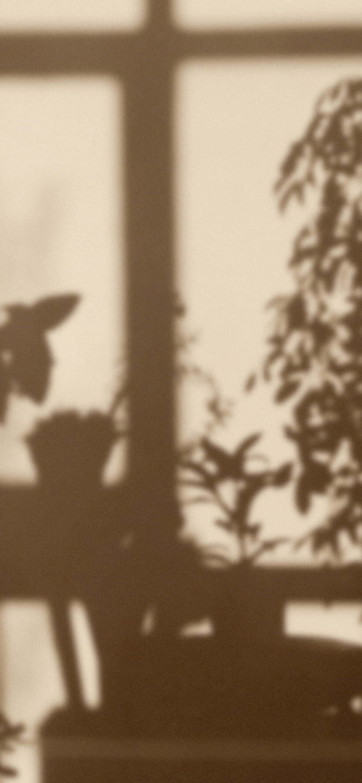 Sundown on the Sea, warm sepia tones, silhouetted plants, 2K Phone Wallpaper