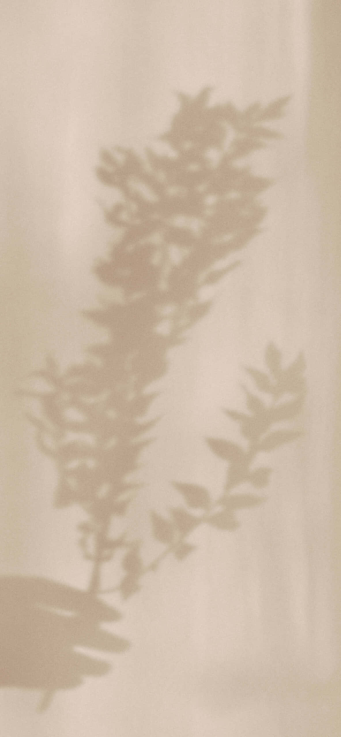 Soft Brown Aesthetic, beige, leafy branches, 2K Phone Wallpaper